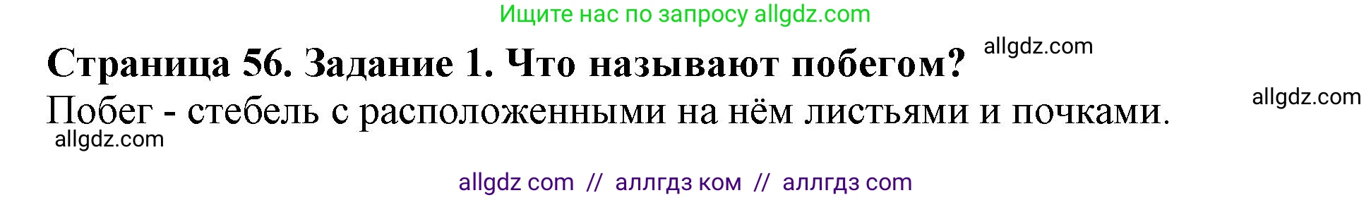 Биология, 6 класс Учебник, авторы: Пасечник Владимир Васильевич, Суматохин Сергей Витальевич, Гапонюк Зоя Георгиевна, Швецов Глеб Геннадьевич, издательство Просвещение, Москва, 2023, белого цвета, страница 56, номер 1, Решение 1