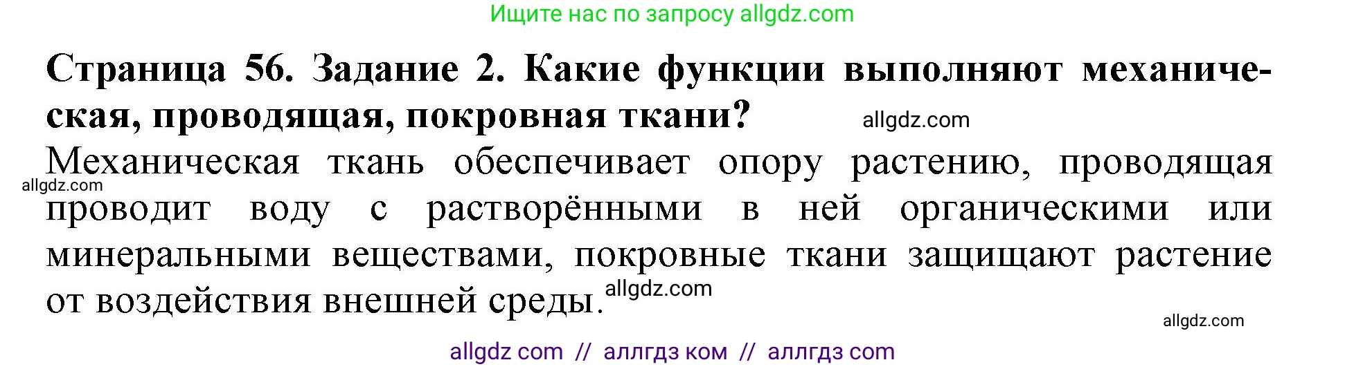 Биология, 6 класс Учебник, авторы: Пасечник Владимир Васильевич, Суматохин Сергей Витальевич, Гапонюк Зоя Георгиевна, Швецов Глеб Геннадьевич, издательство Просвещение, Москва, 2023, белого цвета, страница 56, номер 2, Решение 1