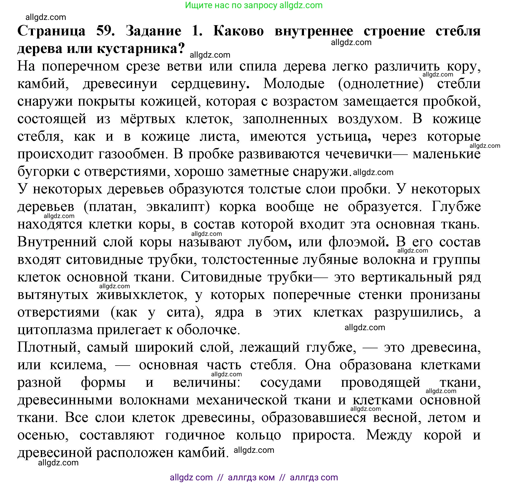 Биология, 6 класс Учебник, авторы: Пасечник Владимир Васильевич, Суматохин Сергей Витальевич, Гапонюк Зоя Георгиевна, Швецов Глеб Геннадьевич, издательство Просвещение, Москва, 2023, белого цвета, страница 59, номер 1, Решение 1