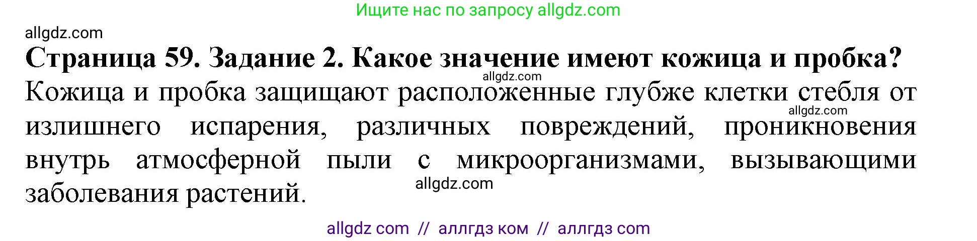Биология, 6 класс Учебник, авторы: Пасечник Владимир Васильевич, Суматохин Сергей Витальевич, Гапонюк Зоя Георгиевна, Швецов Глеб Геннадьевич, издательство Просвещение, Москва, 2023, белого цвета, страница 59, номер 2, Решение 1