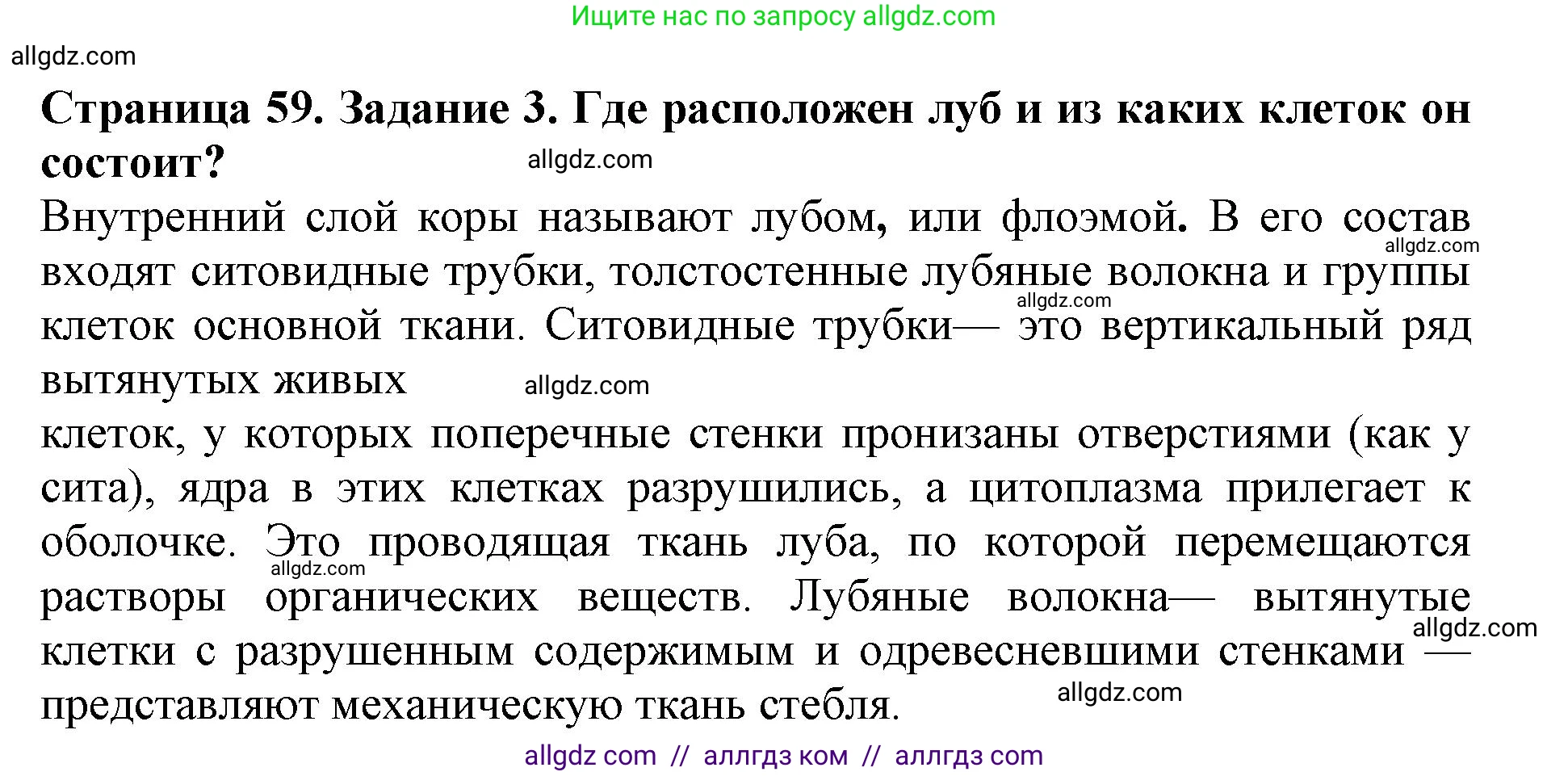 Биология, 6 класс Учебник, авторы: Пасечник Владимир Васильевич, Суматохин Сергей Витальевич, Гапонюк Зоя Георгиевна, Швецов Глеб Геннадьевич, издательство Просвещение, Москва, 2023, белого цвета, страница 59, номер 3, Решение 1