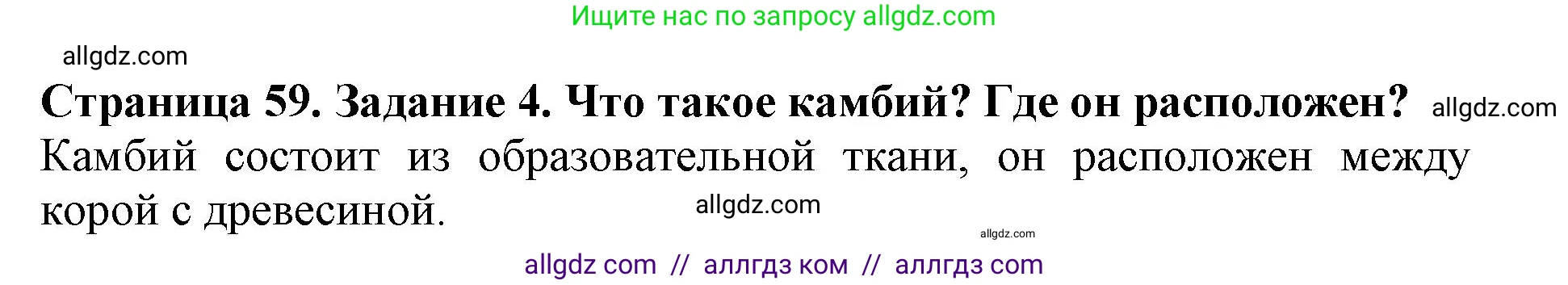Биология, 6 класс Учебник, авторы: Пасечник Владимир Васильевич, Суматохин Сергей Витальевич, Гапонюк Зоя Георгиевна, Швецов Глеб Геннадьевич, издательство Просвещение, Москва, 2023, белого цвета, страница 59, номер 4, Решение 1