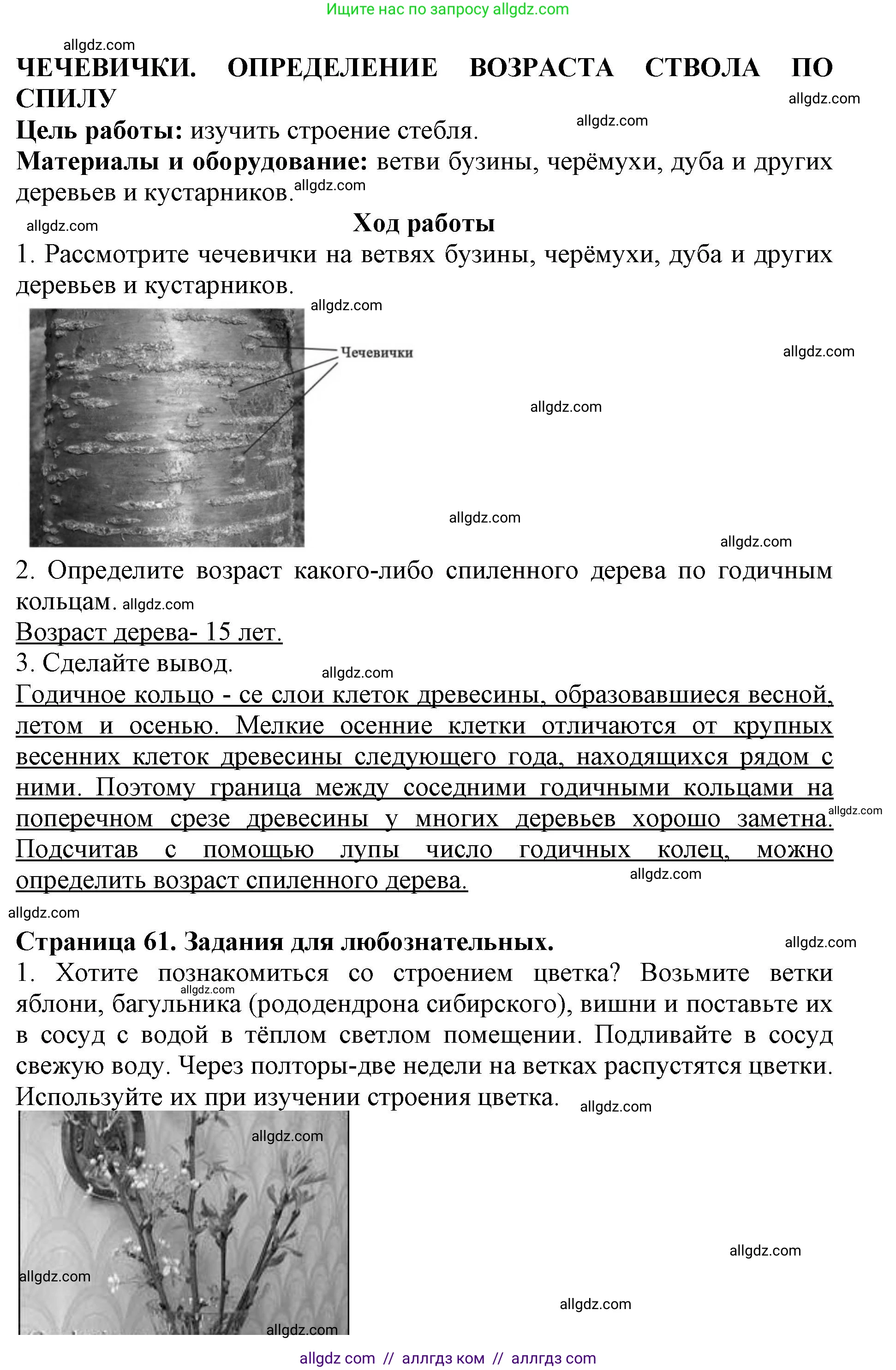 Биология, 6 класс Учебник, авторы: Пасечник Владимир Васильевич, Суматохин Сергей Витальевич, Гапонюк Зоя Георгиевна, Швецов Глеб Геннадьевич, издательство Просвещение, Москва, 2023, белого цвета, страница 60, Решение 1 (продолжение 3)