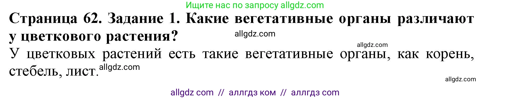 Биология, 6 класс Учебник, авторы: Пасечник Владимир Васильевич, Суматохин Сергей Витальевич, Гапонюк Зоя Георгиевна, Швецов Глеб Геннадьевич, издательство Просвещение, Москва, 2023, белого цвета, страница 62, номер 1, Решение 1