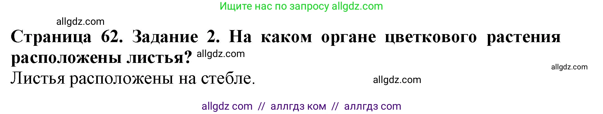 Биология, 6 класс Учебник, авторы: Пасечник Владимир Васильевич, Суматохин Сергей Витальевич, Гапонюк Зоя Георгиевна, Швецов Глеб Геннадьевич, издательство Просвещение, Москва, 2023, белого цвета, страница 62, номер 2, Решение 1