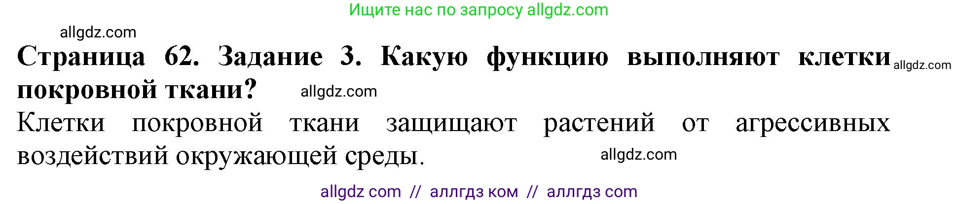 Биология, 6 класс Учебник, авторы: Пасечник Владимир Васильевич, Суматохин Сергей Витальевич, Гапонюк Зоя Георгиевна, Швецов Глеб Геннадьевич, издательство Просвещение, Москва, 2023, белого цвета, страница 62, номер 3, Решение 1