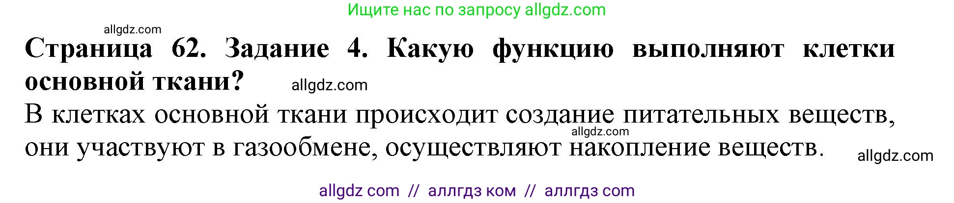 Биология, 6 класс Учебник, авторы: Пасечник Владимир Васильевич, Суматохин Сергей Витальевич, Гапонюк Зоя Георгиевна, Швецов Глеб Геннадьевич, издательство Просвещение, Москва, 2023, белого цвета, страница 62, номер 4, Решение 1
