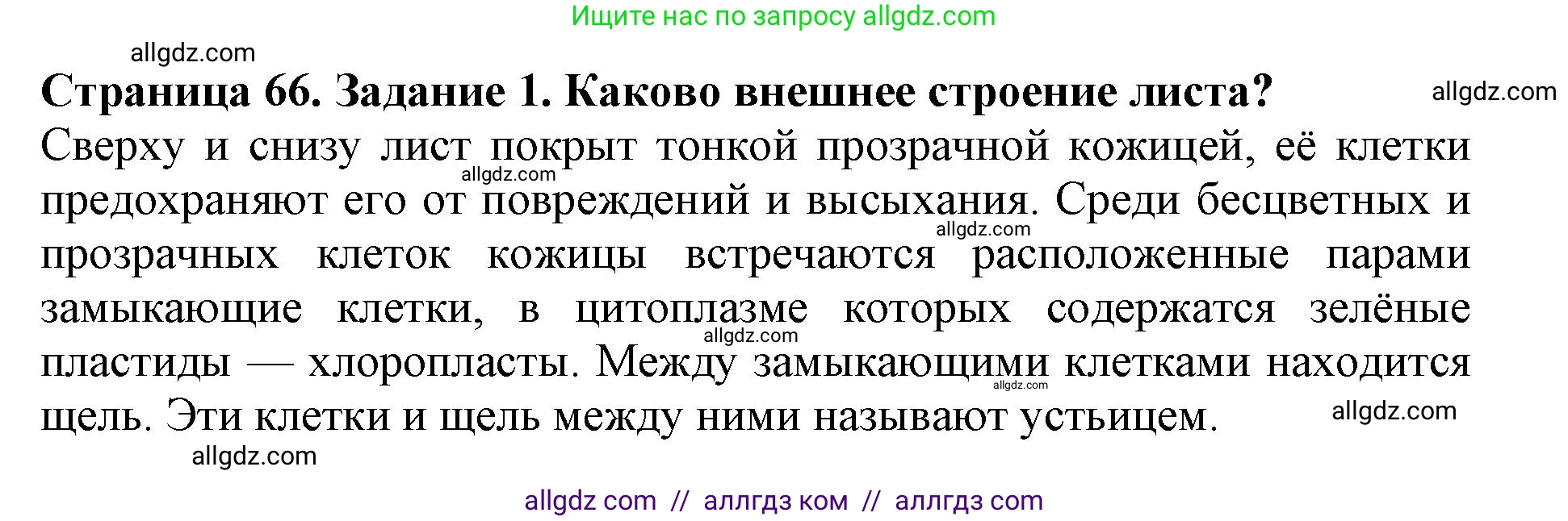 Биология, 6 класс Учебник, авторы: Пасечник Владимир Васильевич, Суматохин Сергей Витальевич, Гапонюк Зоя Георгиевна, Швецов Глеб Геннадьевич, издательство Просвещение, Москва, 2023, белого цвета, страница 66, номер 1, Решение 1