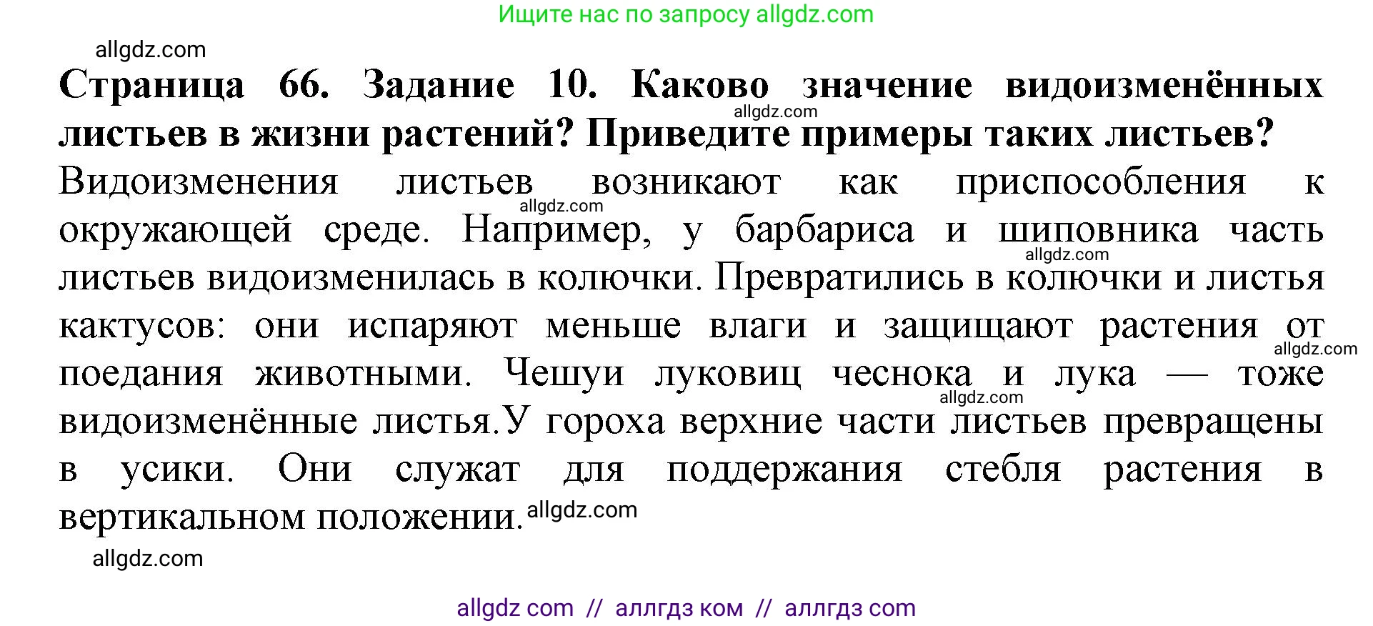 Биология, 6 класс Учебник, авторы: Пасечник Владимир Васильевич, Суматохин Сергей Витальевич, Гапонюк Зоя Георгиевна, Швецов Глеб Геннадьевич, издательство Просвещение, Москва, 2023, белого цвета, страница 66, номер 10, Решение 1