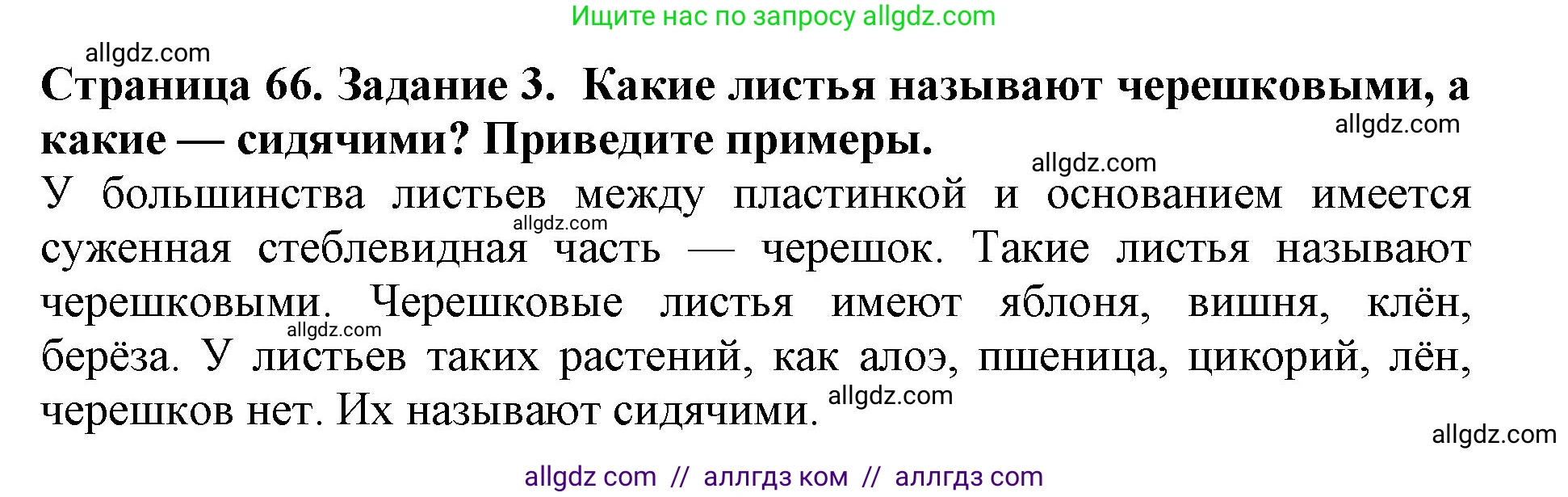 Биология, 6 класс Учебник, авторы: Пасечник Владимир Васильевич, Суматохин Сергей Витальевич, Гапонюк Зоя Георгиевна, Швецов Глеб Геннадьевич, издательство Просвещение, Москва, 2023, белого цвета, страница 66, номер 3, Решение 1