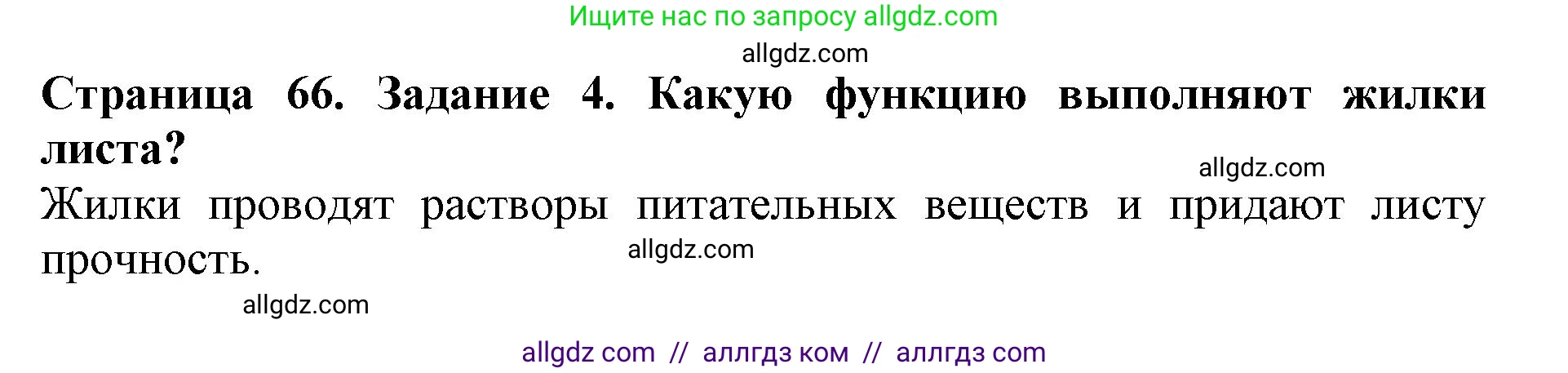 Биология, 6 класс Учебник, авторы: Пасечник Владимир Васильевич, Суматохин Сергей Витальевич, Гапонюк Зоя Георгиевна, Швецов Глеб Геннадьевич, издательство Просвещение, Москва, 2023, белого цвета, страница 66, номер 4, Решение 1