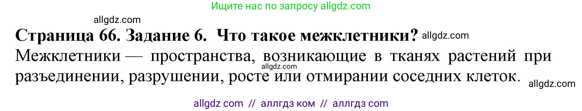 Биология, 6 класс Учебник, авторы: Пасечник Владимир Васильевич, Суматохин Сергей Витальевич, Гапонюк Зоя Георгиевна, Швецов Глеб Геннадьевич, издательство Просвещение, Москва, 2023, белого цвета, страница 66, номер 6, Решение 1