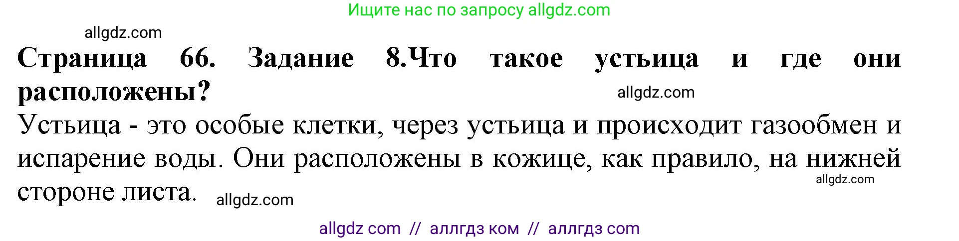 Биология, 6 класс Учебник, авторы: Пасечник Владимир Васильевич, Суматохин Сергей Витальевич, Гапонюк Зоя Георгиевна, Швецов Глеб Геннадьевич, издательство Просвещение, Москва, 2023, белого цвета, страница 66, номер 8, Решение 1