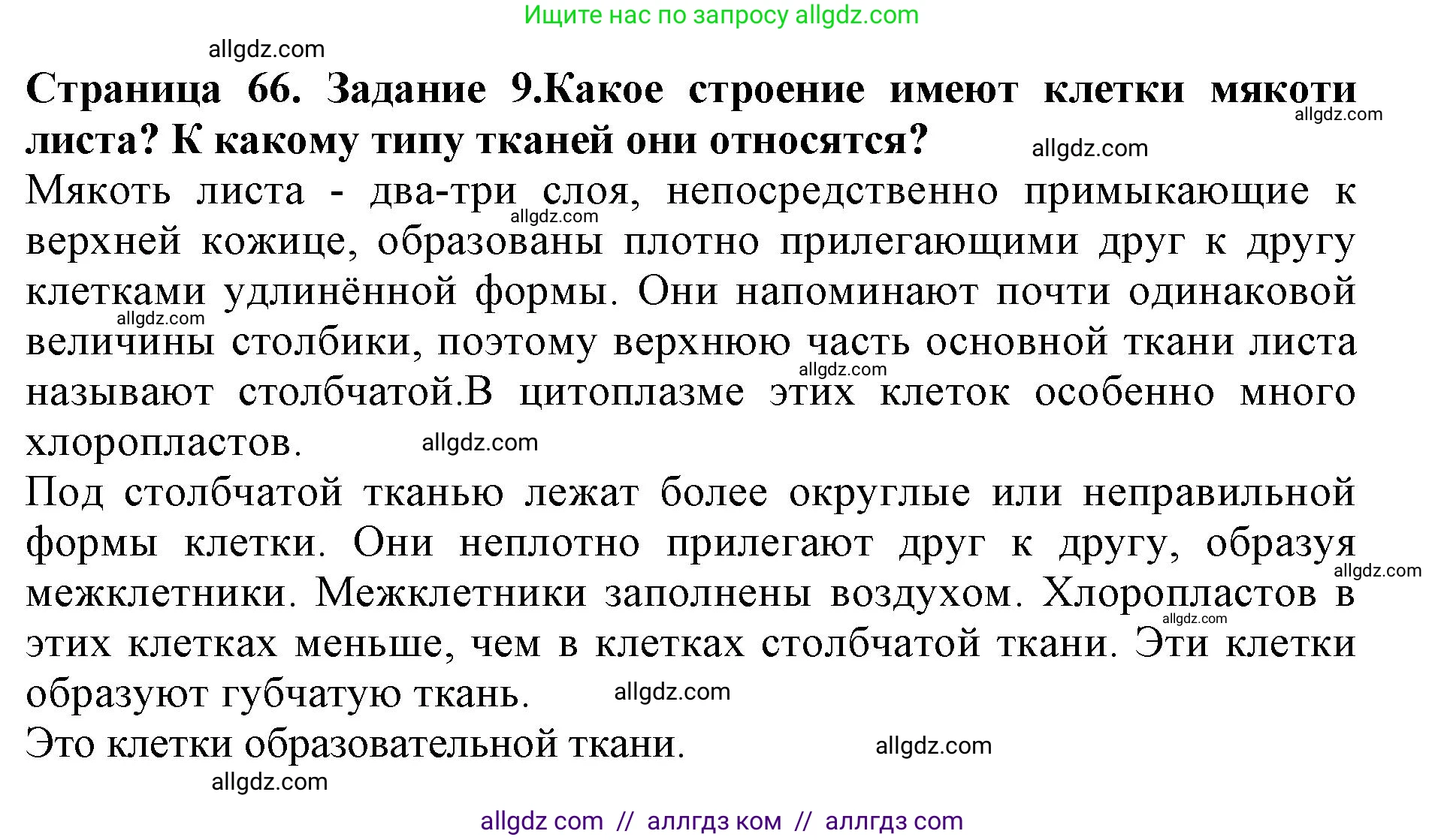 Биология, 6 класс Учебник, авторы: Пасечник Владимир Васильевич, Суматохин Сергей Витальевич, Гапонюк Зоя Георгиевна, Швецов Глеб Геннадьевич, издательство Просвещение, Москва, 2023, белого цвета, страница 66, номер 9, Решение 1