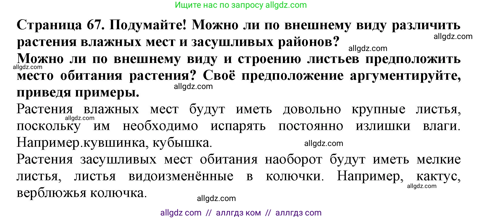 Биология, 6 класс Учебник, авторы: Пасечник Владимир Васильевич, Суматохин Сергей Витальевич, Гапонюк Зоя Георгиевна, Швецов Глеб Геннадьевич, издательство Просвещение, Москва, 2023, белого цвета, страница 67, Решение 1