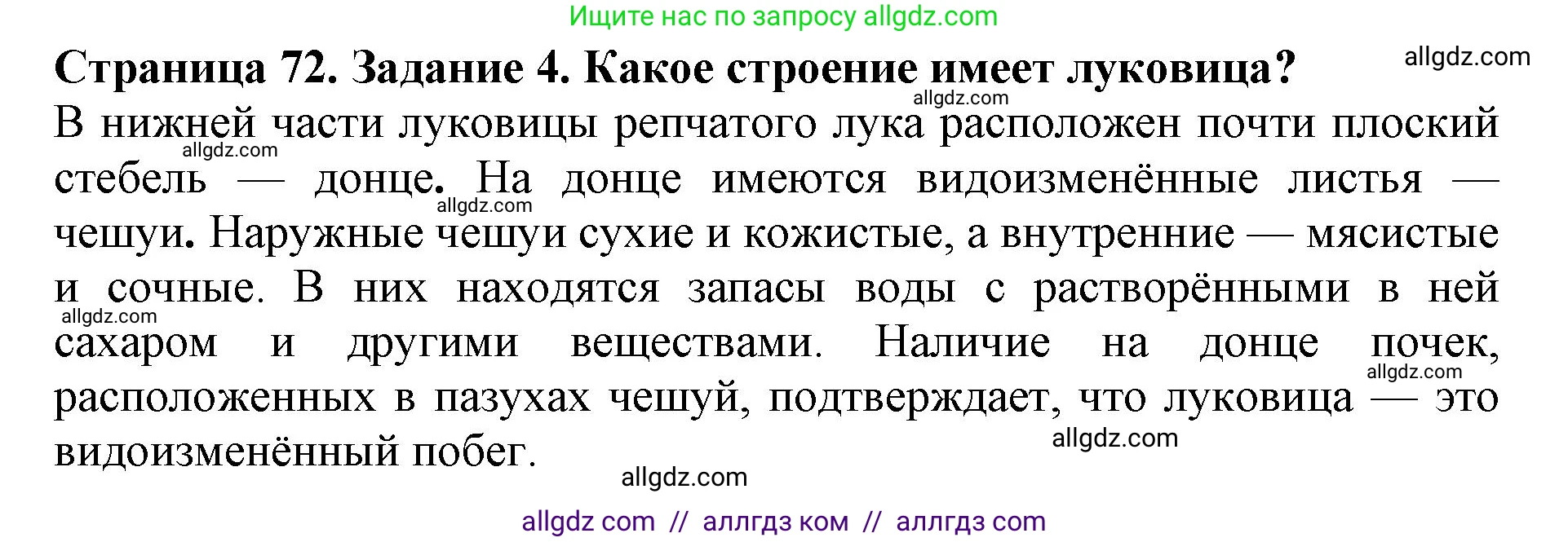 Биология, 6 класс Учебник, авторы: Пасечник Владимир Васильевич, Суматохин Сергей Витальевич, Гапонюк Зоя Георгиевна, Швецов Глеб Геннадьевич, издательство Просвещение, Москва, 2023, белого цвета, страница 72, номер 4, Решение 1