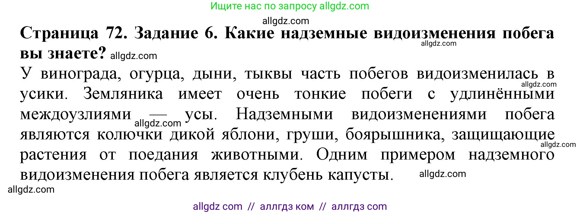 Биология, 6 класс Учебник, авторы: Пасечник Владимир Васильевич, Суматохин Сергей Витальевич, Гапонюк Зоя Георгиевна, Швецов Глеб Геннадьевич, издательство Просвещение, Москва, 2023, белого цвета, страница 72, номер 6, Решение 1