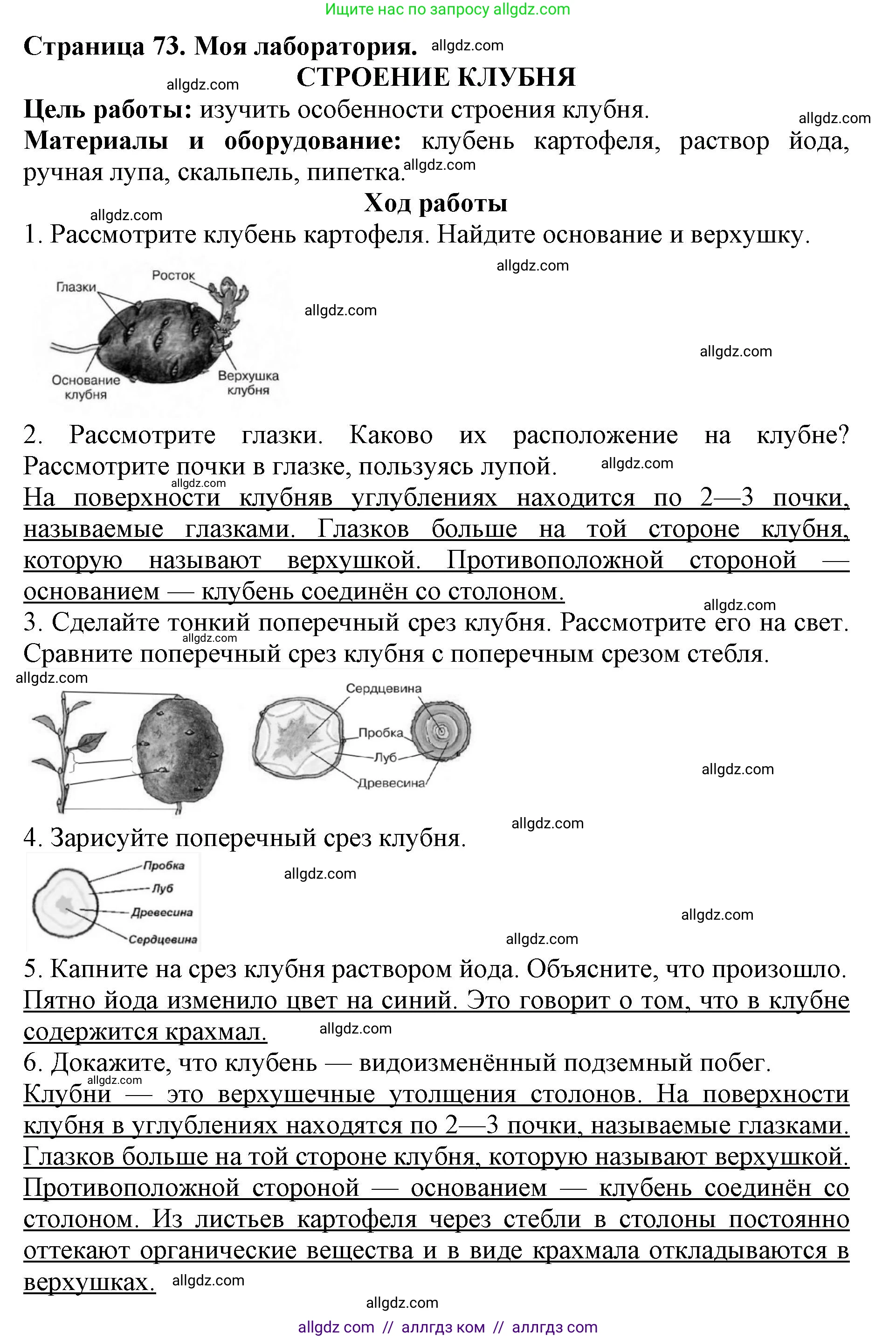 Биология, 6 класс Учебник, авторы: Пасечник Владимир Васильевич, Суматохин Сергей Витальевич, Гапонюк Зоя Георгиевна, Швецов Глеб Геннадьевич, издательство Просвещение, Москва, 2023, белого цвета, страница 73, Решение 1