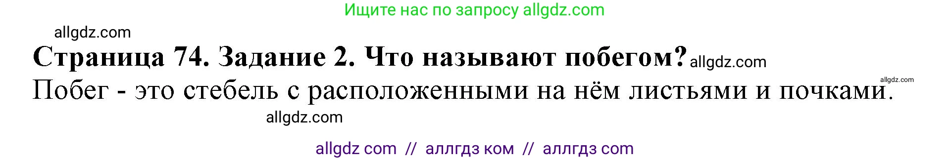 Биология, 6 класс Учебник, авторы: Пасечник Владимир Васильевич, Суматохин Сергей Витальевич, Гапонюк Зоя Георгиевна, Швецов Глеб Геннадьевич, издательство Просвещение, Москва, 2023, белого цвета, страница 74, номер 2, Решение 1