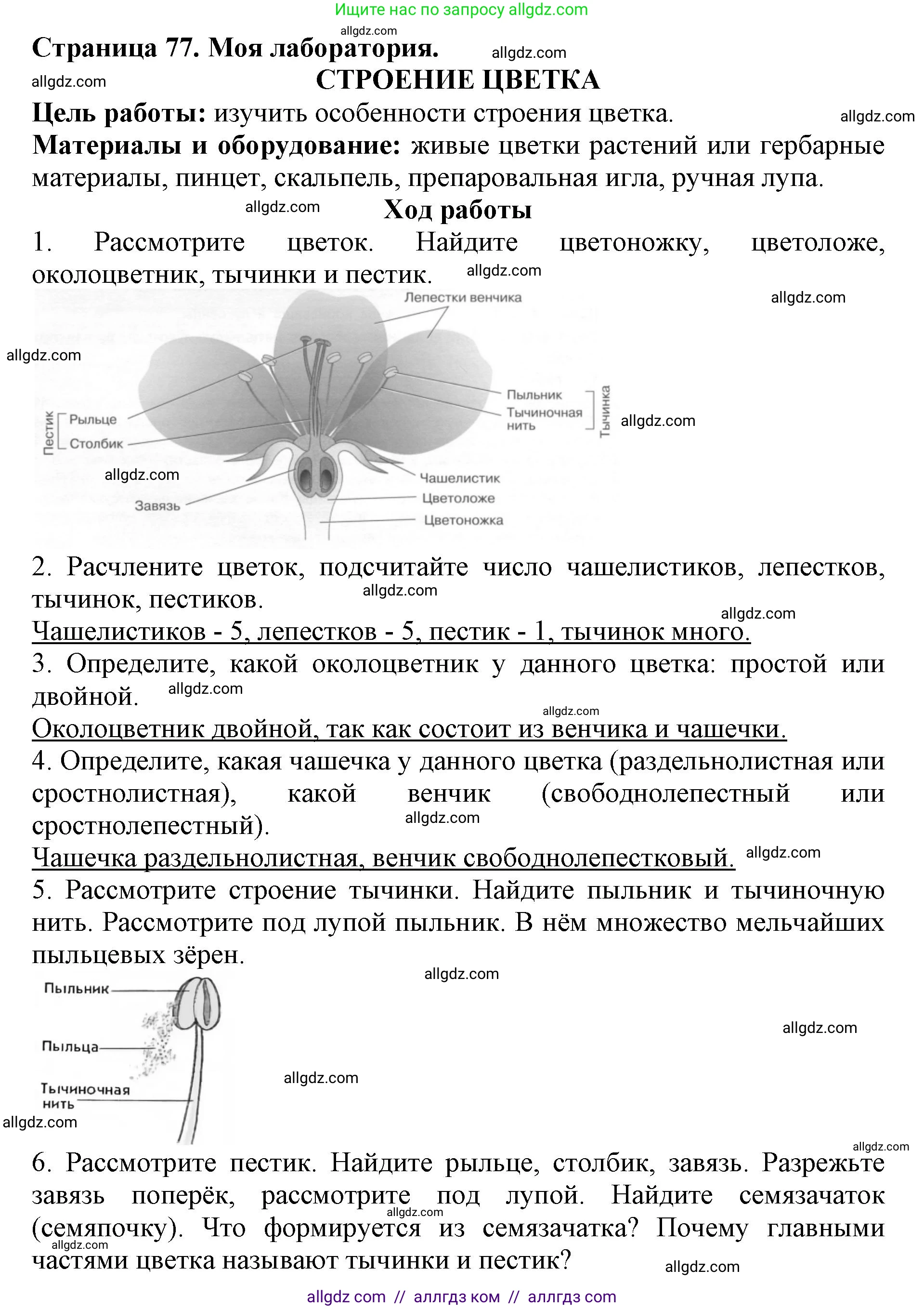 Биология, 6 класс Учебник, авторы: Пасечник Владимир Васильевич, Суматохин Сергей Витальевич, Гапонюк Зоя Георгиевна, Швецов Глеб Геннадьевич, издательство Просвещение, Москва, 2023, белого цвета, страница 77, Решение 1