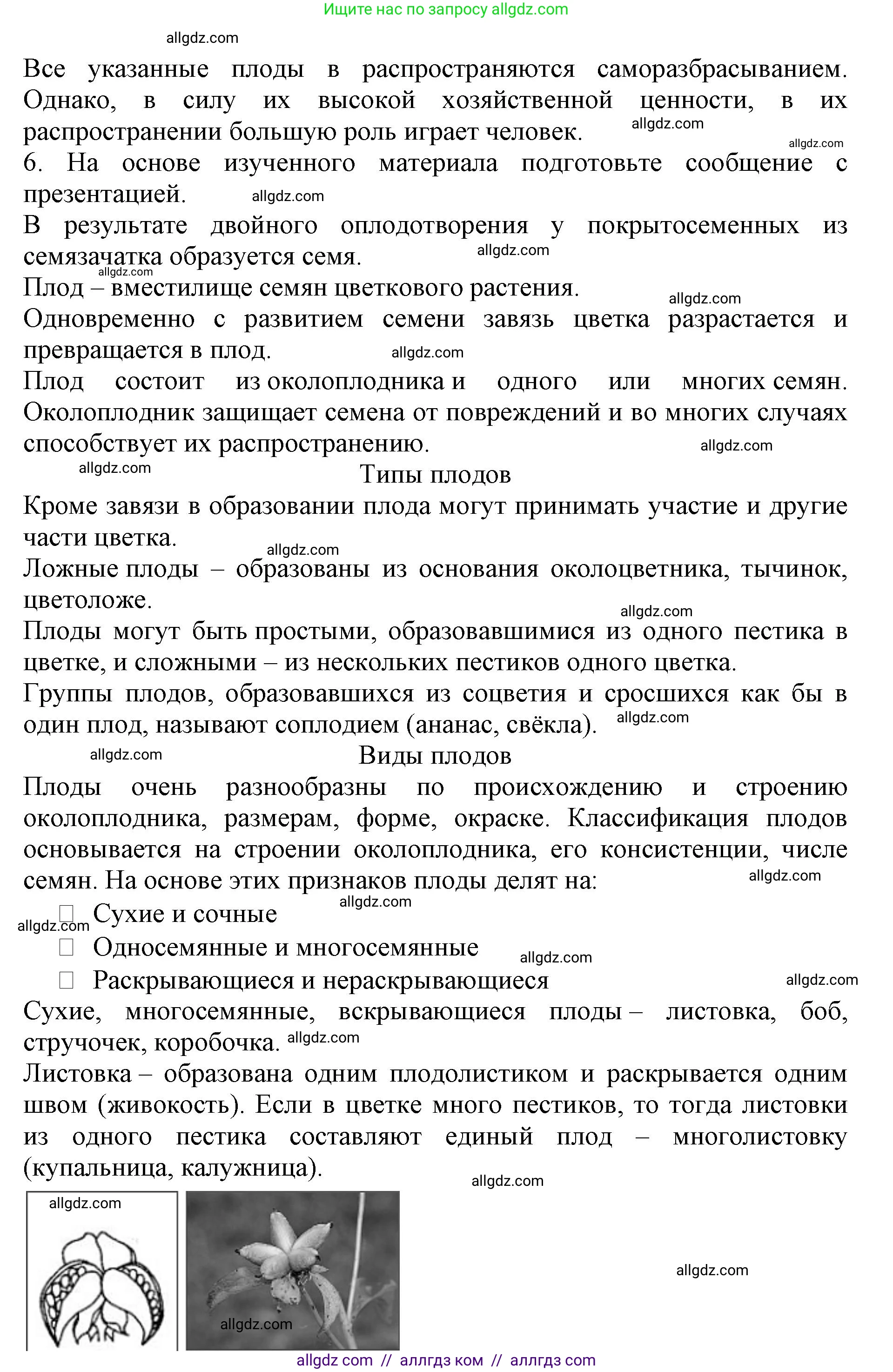 Биология, 6 класс Учебник, авторы: Пасечник Владимир Васильевич, Суматохин Сергей Витальевич, Гапонюк Зоя Георгиевна, Швецов Глеб Геннадьевич, издательство Просвещение, Москва, 2023, белого цвета, страница 88, Решение 1 (продолжение 5)