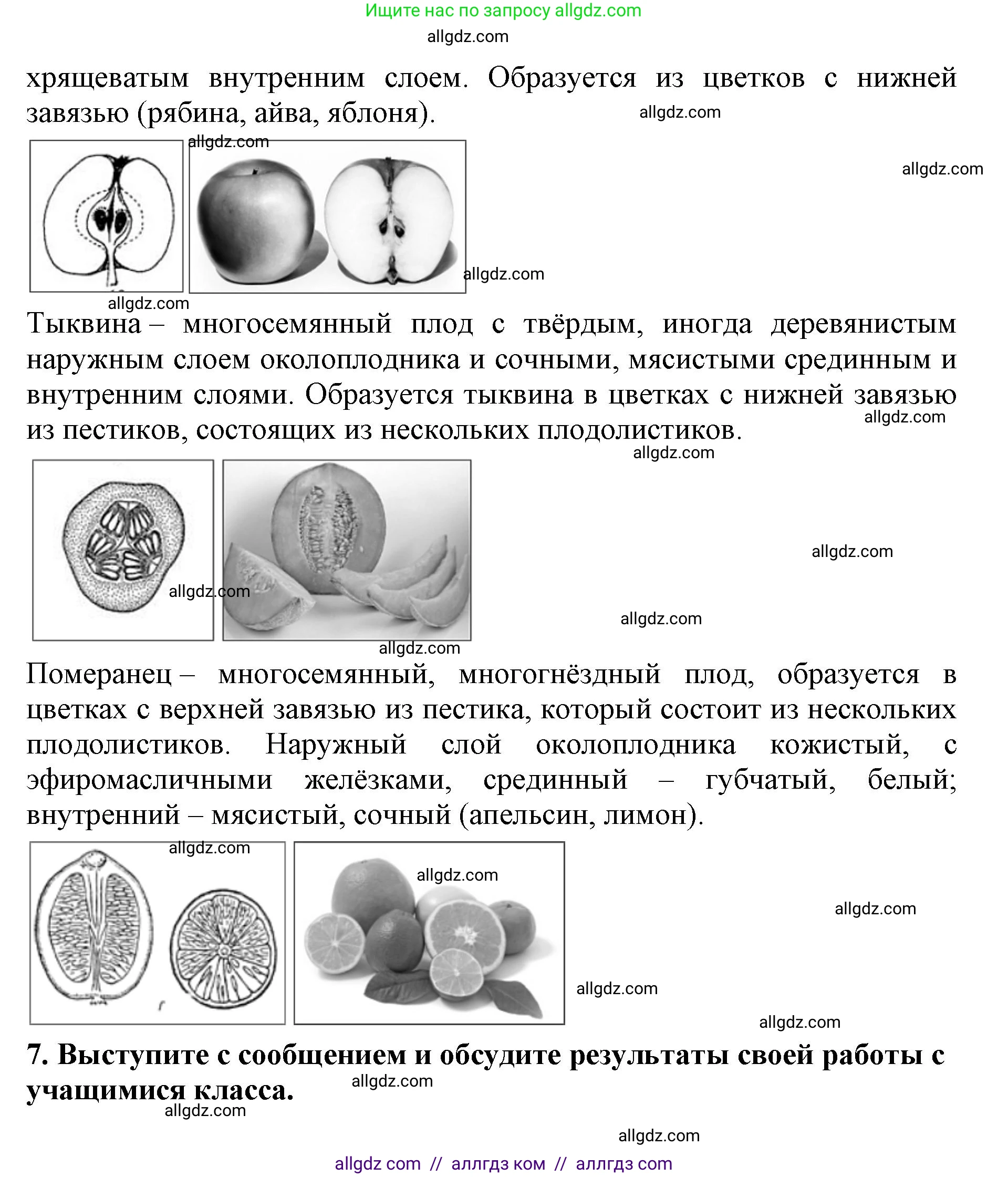 Биология, 6 класс Учебник, авторы: Пасечник Владимир Васильевич, Суматохин Сергей Витальевич, Гапонюк Зоя Георгиевна, Швецов Глеб Геннадьевич, издательство Просвещение, Москва, 2023, белого цвета, страница 88, Решение 1 (продолжение 8)