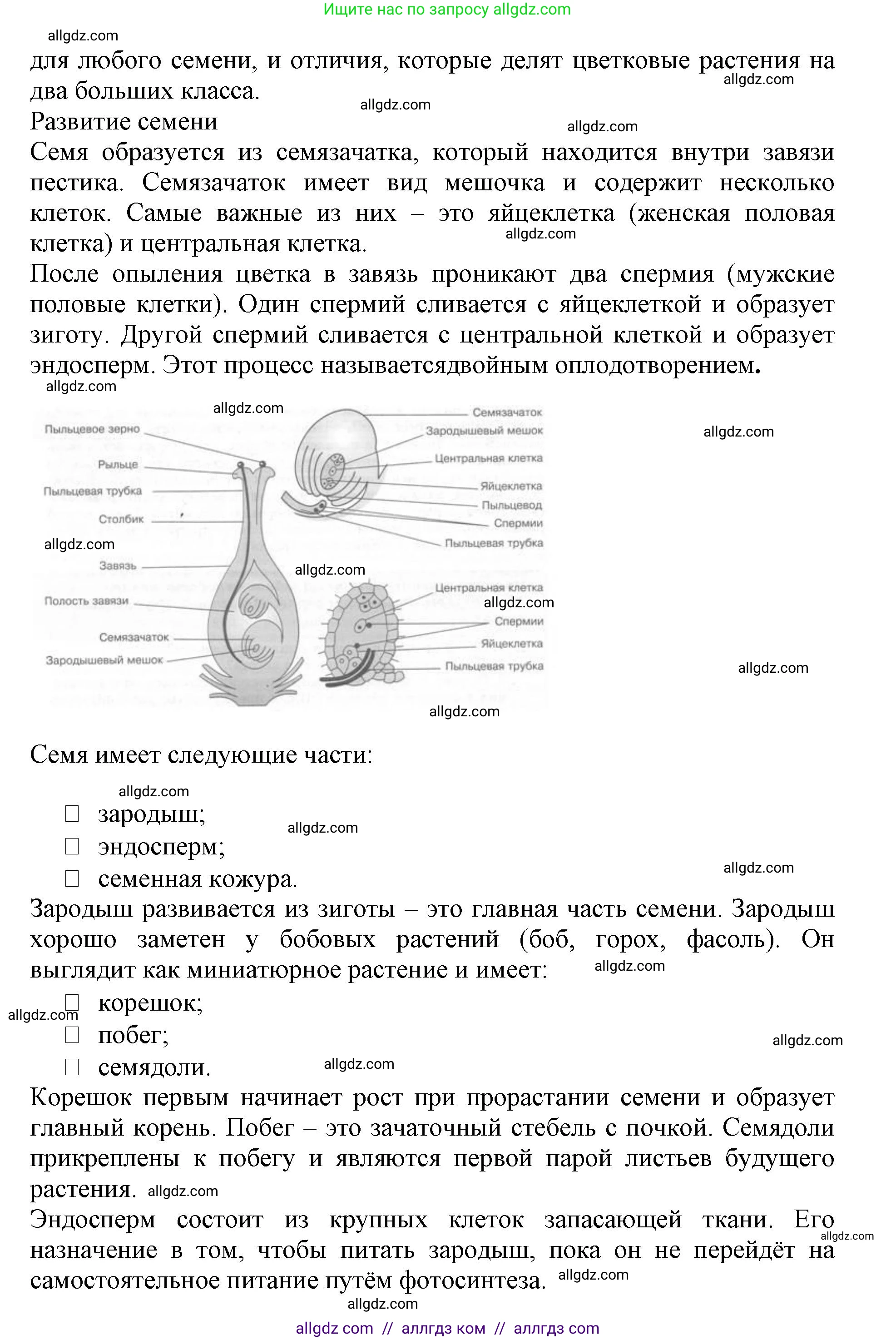 Биология, 6 класс Учебник, авторы: Пасечник Владимир Васильевич, Суматохин Сергей Витальевич, Гапонюк Зоя Георгиевна, Швецов Глеб Геннадьевич, издательство Просвещение, Москва, 2023, белого цвета, страница 90, номер 1, Решение 1 (продолжение 2)