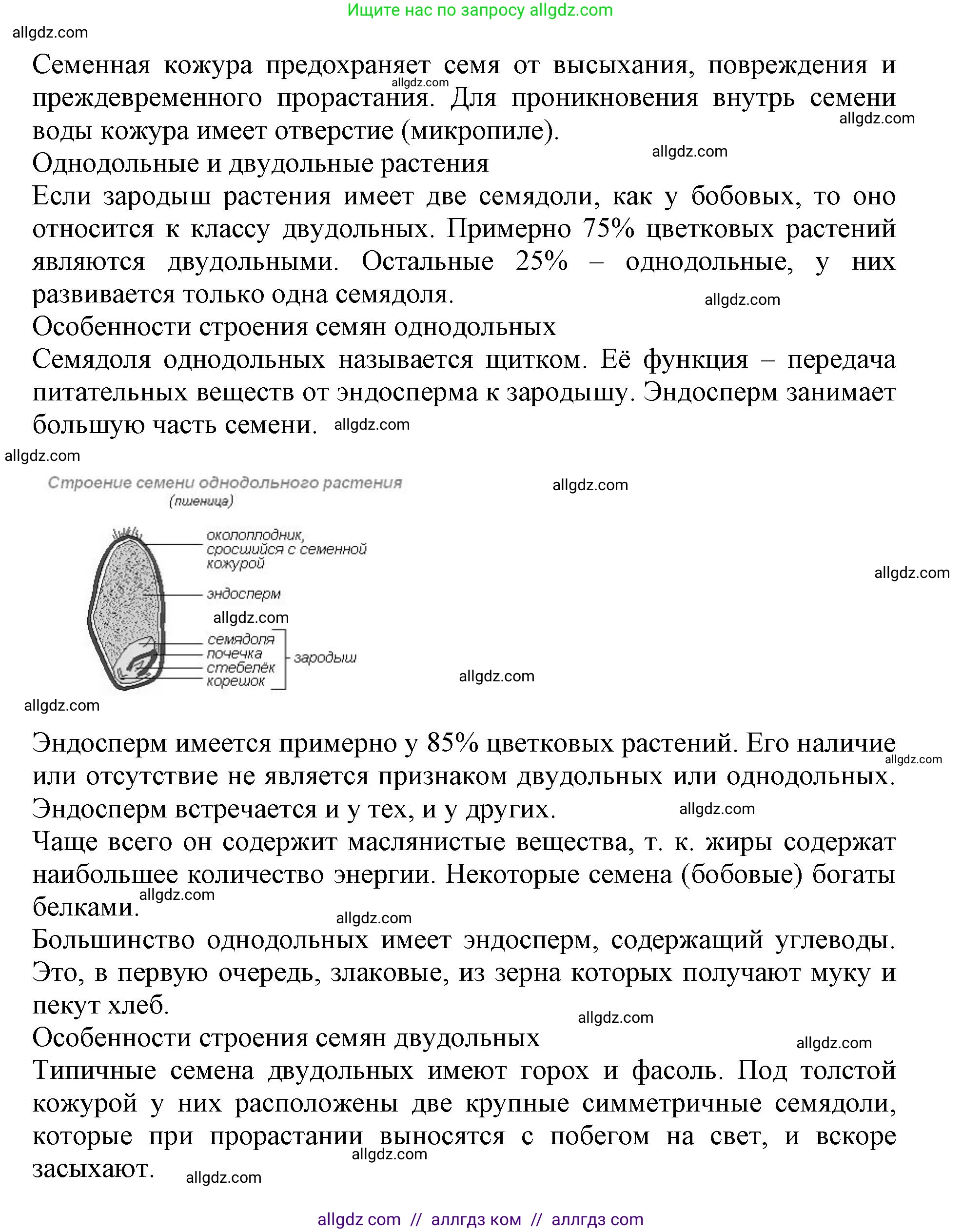 Биология, 6 класс Учебник, авторы: Пасечник Владимир Васильевич, Суматохин Сергей Витальевич, Гапонюк Зоя Георгиевна, Швецов Глеб Геннадьевич, издательство Просвещение, Москва, 2023, белого цвета, страница 90, номер 1, Решение 1 (продолжение 3)