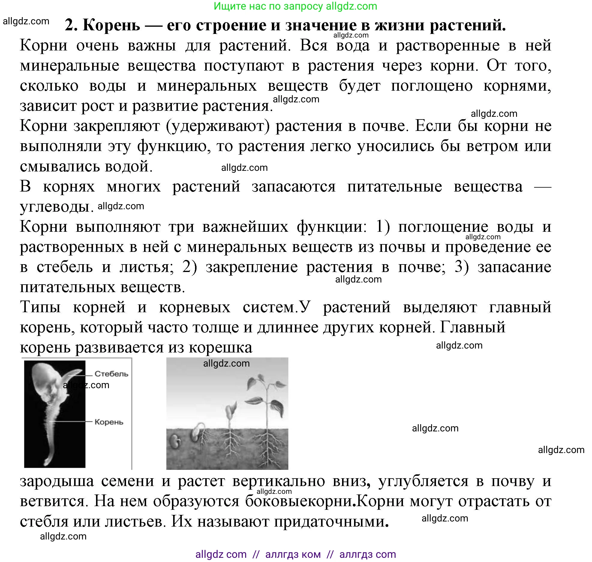 Биология, 6 класс Учебник, авторы: Пасечник Владимир Васильевич, Суматохин Сергей Витальевич, Гапонюк Зоя Георгиевна, Швецов Глеб Геннадьевич, издательство Просвещение, Москва, 2023, белого цвета, страница 90, номер 2, Решение 1