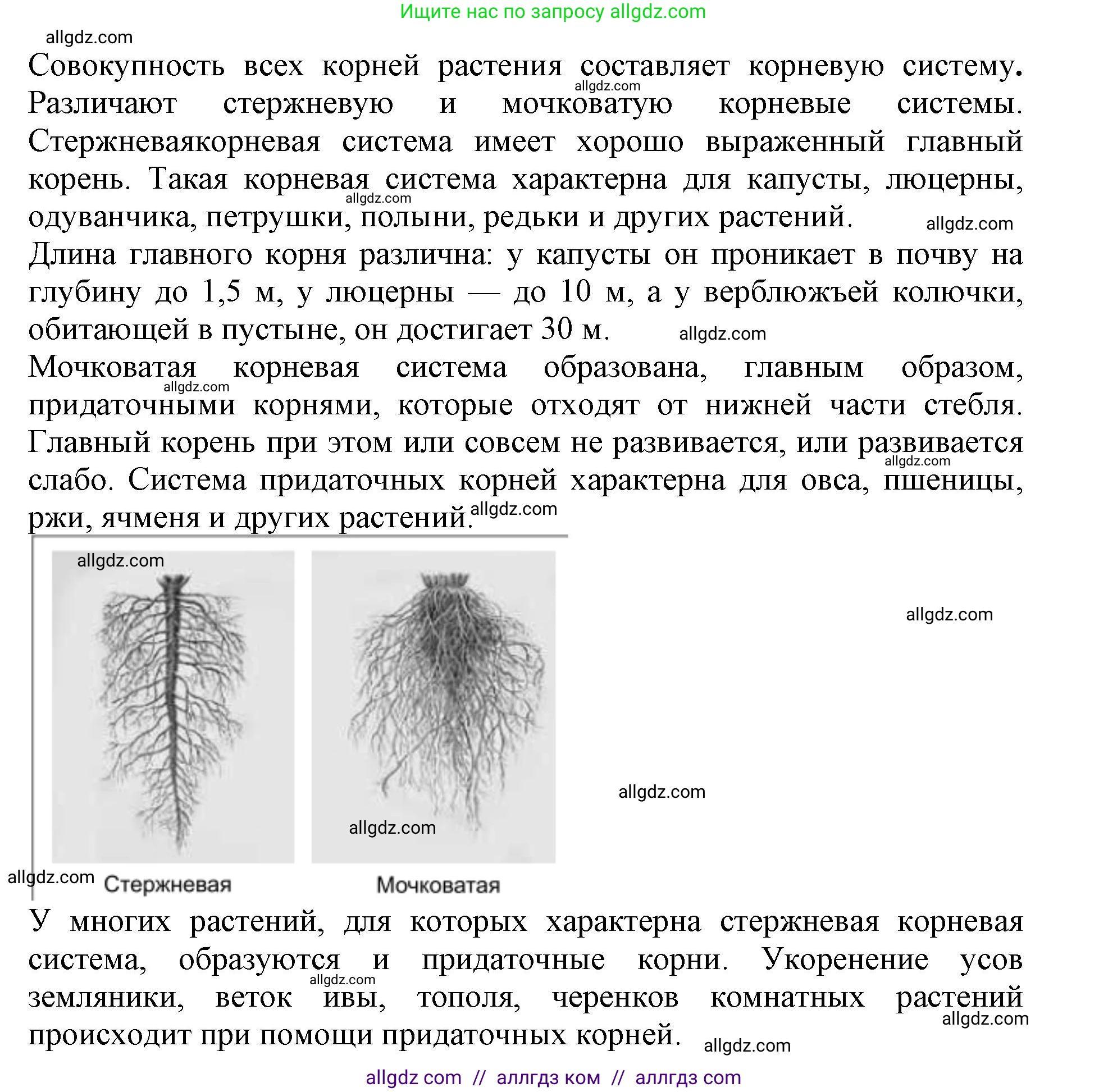 Биология, 6 класс Учебник, авторы: Пасечник Владимир Васильевич, Суматохин Сергей Витальевич, Гапонюк Зоя Георгиевна, Швецов Глеб Геннадьевич, издательство Просвещение, Москва, 2023, белого цвета, страница 90, номер 2, Решение 1 (продолжение 2)