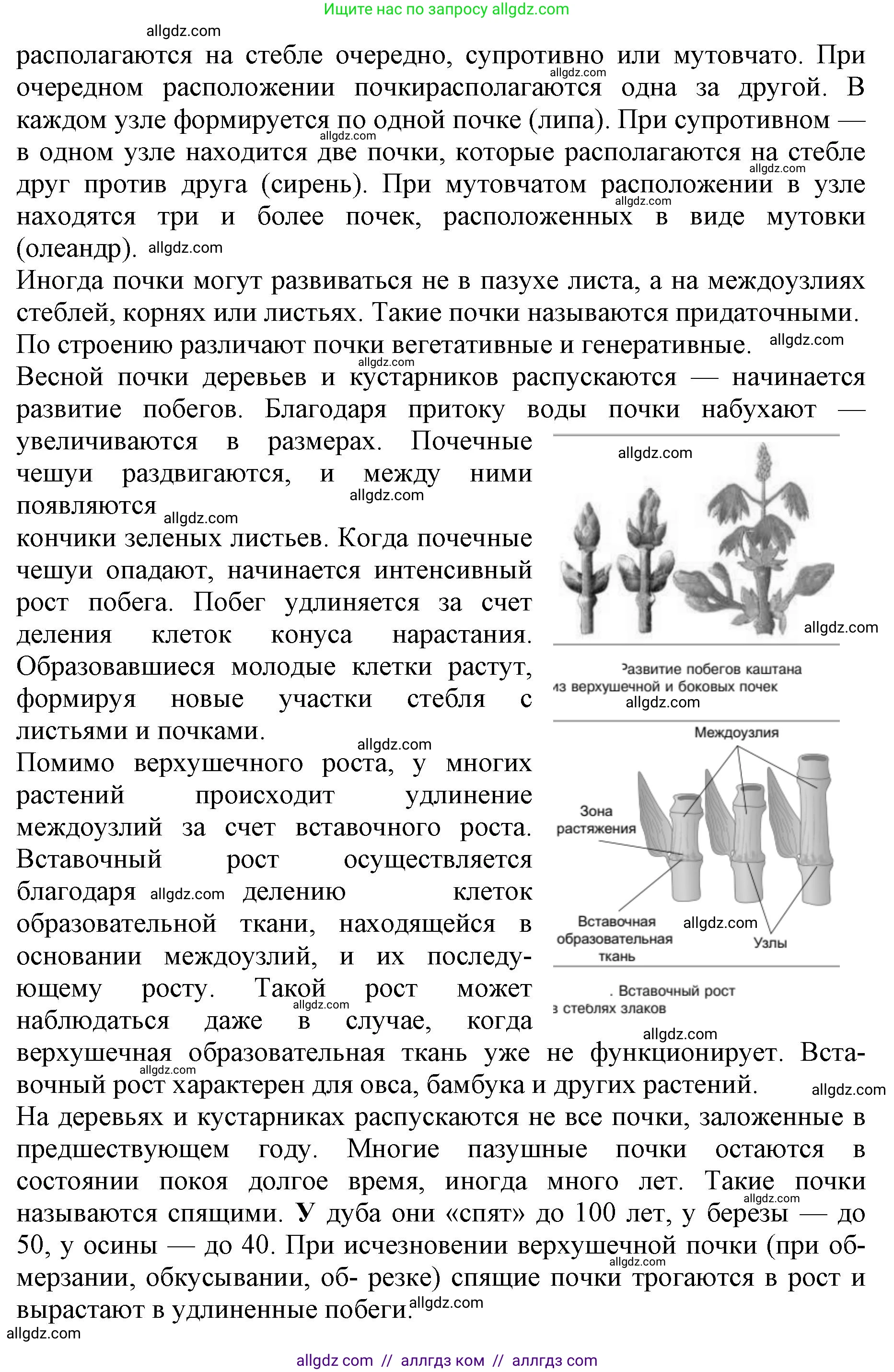 Биология, 6 класс Учебник, авторы: Пасечник Владимир Васильевич, Суматохин Сергей Витальевич, Гапонюк Зоя Георгиевна, Швецов Глеб Геннадьевич, издательство Просвещение, Москва, 2023, белого цвета, страница 90, номер 4, Решение 1 (продолжение 2)