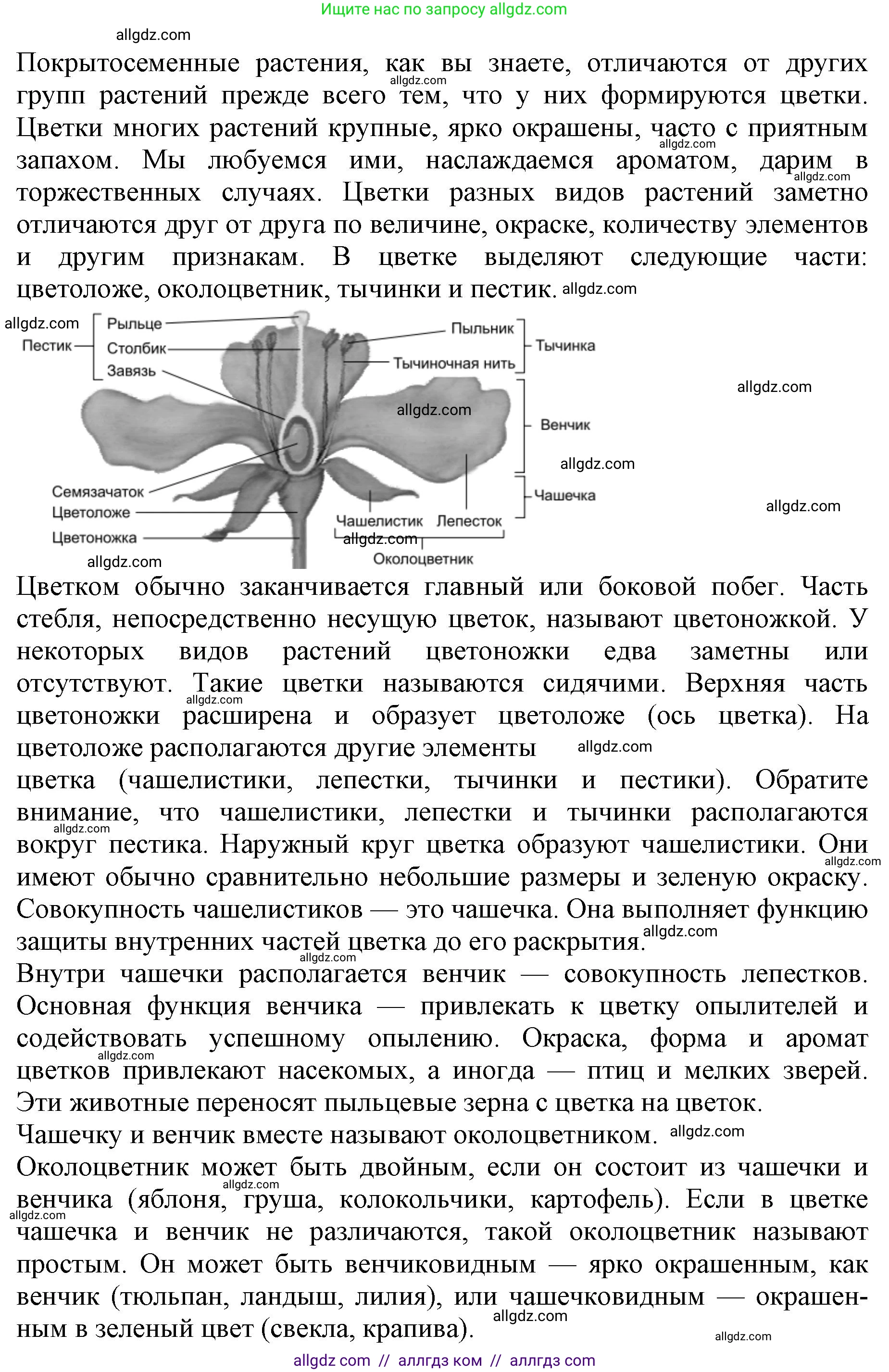 Биология, 6 класс Учебник, авторы: Пасечник Владимир Васильевич, Суматохин Сергей Витальевич, Гапонюк Зоя Георгиевна, Швецов Глеб Геннадьевич, издательство Просвещение, Москва, 2023, белого цвета, страница 90, номер 6, Решение 1