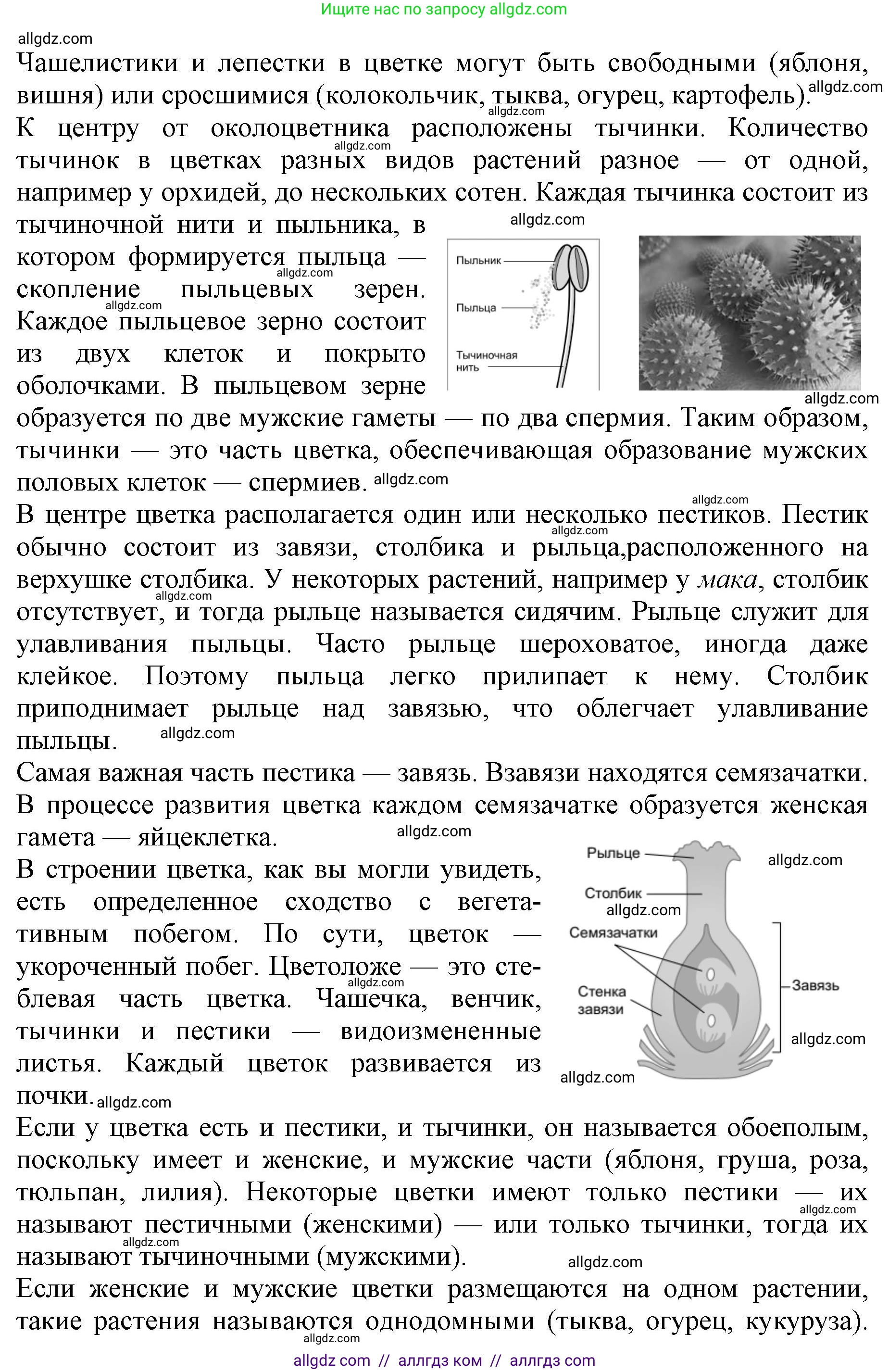 Биология, 6 класс Учебник, авторы: Пасечник Владимир Васильевич, Суматохин Сергей Витальевич, Гапонюк Зоя Георгиевна, Швецов Глеб Геннадьевич, издательство Просвещение, Москва, 2023, белого цвета, страница 90, номер 6, Решение 1 (продолжение 2)