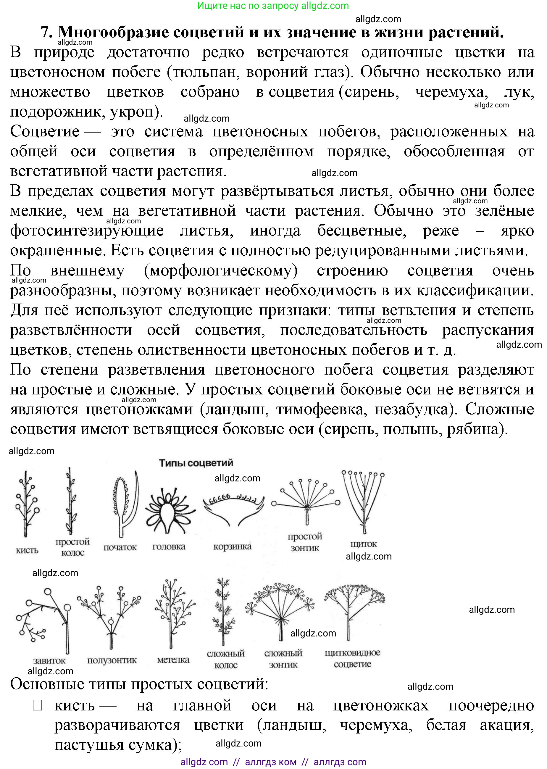 Биология, 6 класс Учебник, авторы: Пасечник Владимир Васильевич, Суматохин Сергей Витальевич, Гапонюк Зоя Георгиевна, Швецов Глеб Геннадьевич, издательство Просвещение, Москва, 2023, белого цвета, страница 90, номер 7, Решение 1