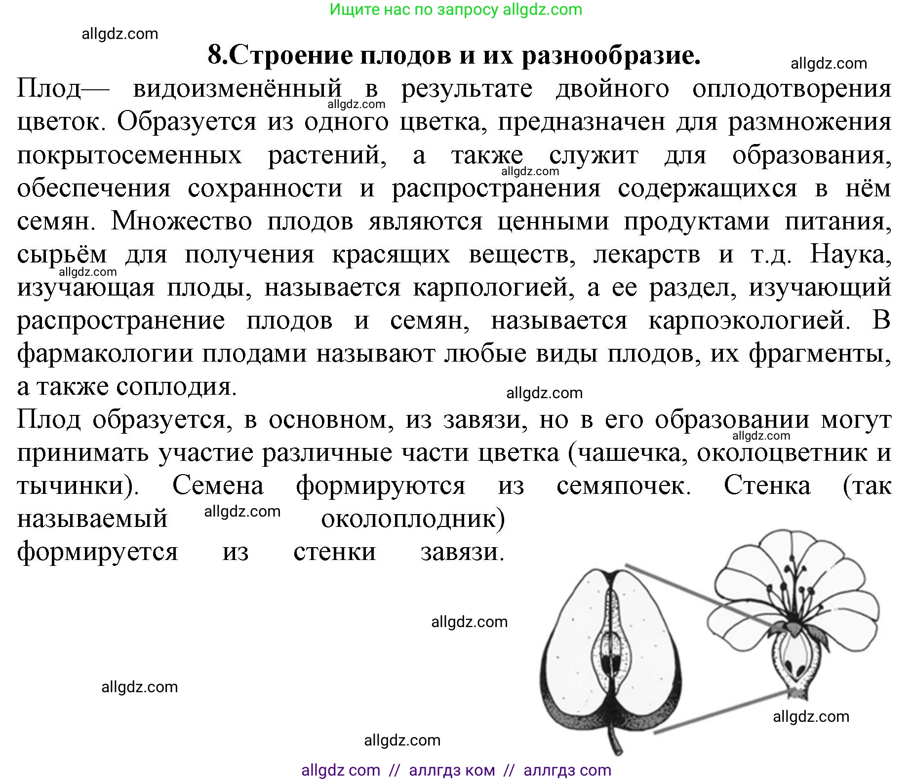 Биология, 6 класс Учебник, авторы: Пасечник Владимир Васильевич, Суматохин Сергей Витальевич, Гапонюк Зоя Георгиевна, Швецов Глеб Геннадьевич, издательство Просвещение, Москва, 2023, белого цвета, страница 90, номер 8, Решение 1