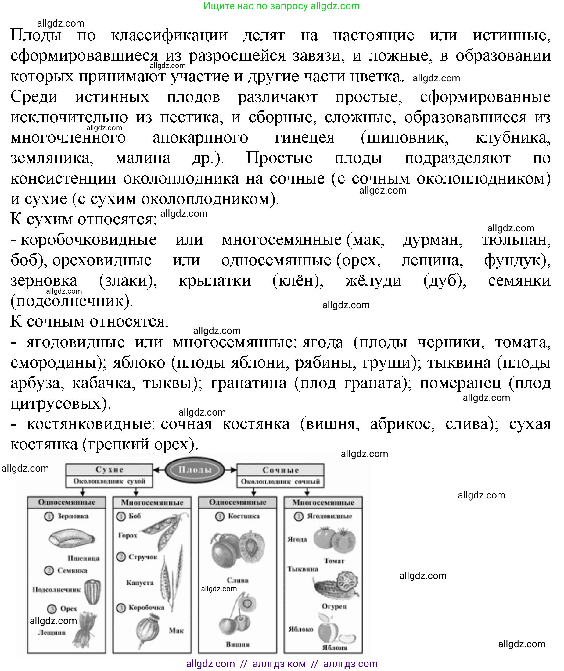 Биология, 6 класс Учебник, авторы: Пасечник Владимир Васильевич, Суматохин Сергей Витальевич, Гапонюк Зоя Георгиевна, Швецов Глеб Геннадьевич, издательство Просвещение, Москва, 2023, белого цвета, страница 90, номер 8, Решение 1 (продолжение 3)