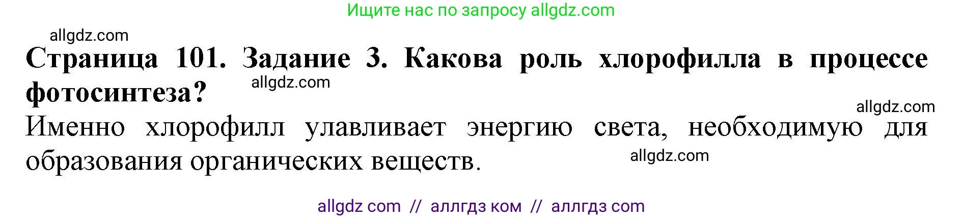Биология, 6 класс Учебник, авторы: Пасечник Владимир Васильевич, Суматохин Сергей Витальевич, Гапонюк Зоя Георгиевна, Швецов Глеб Геннадьевич, издательство Просвещение, Москва, 2023, белого цвета, страница 101, номер 3, Решение 1