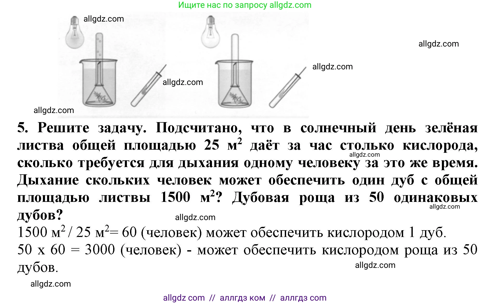 Биология, 6 класс Учебник, авторы: Пасечник Владимир Васильевич, Суматохин Сергей Витальевич, Гапонюк Зоя Георгиевна, Швецов Глеб Геннадьевич, издательство Просвещение, Москва, 2023, белого цвета, страница 102, Решение 1 (продолжение 5)