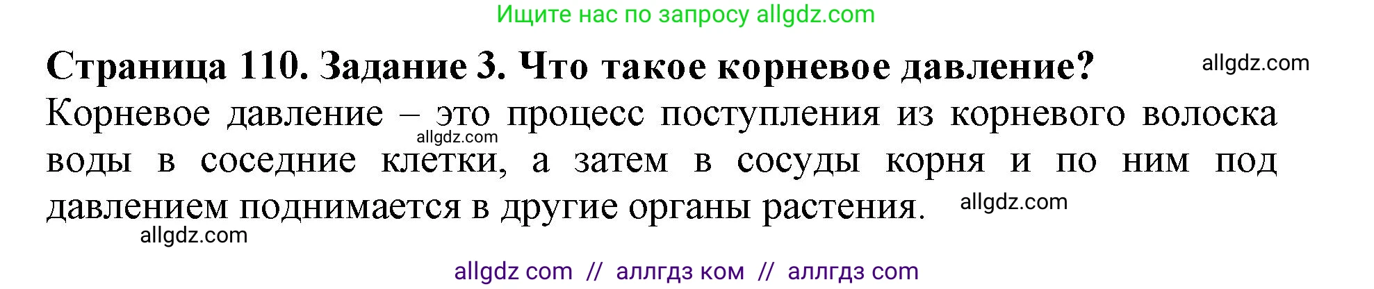 Биология, 6 класс Учебник, авторы: Пасечник Владимир Васильевич, Суматохин Сергей Витальевич, Гапонюк Зоя Георгиевна, Швецов Глеб Геннадьевич, издательство Просвещение, Москва, 2023, белого цвета, страница 110, номер 3, Решение 1