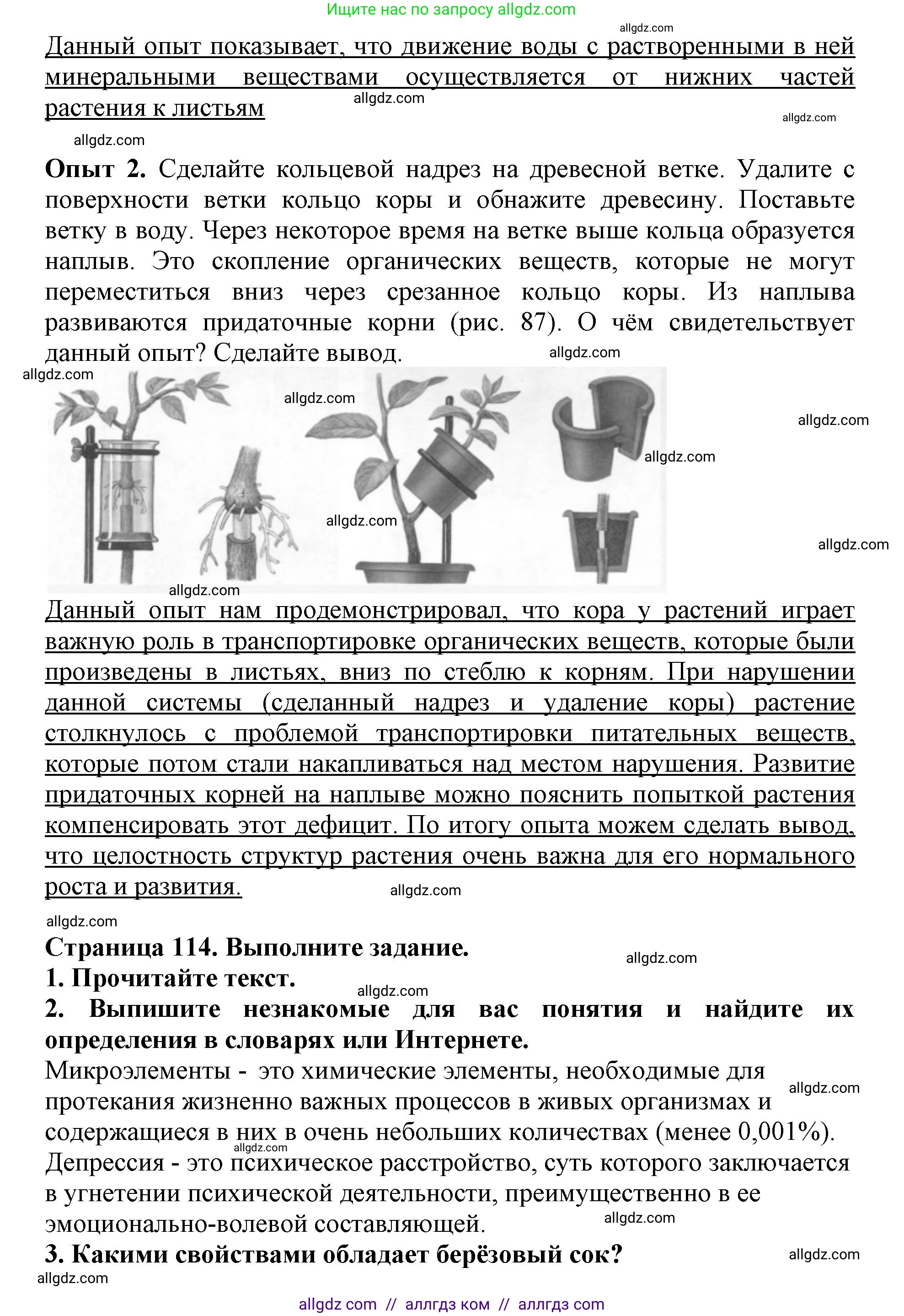 Биология, 6 класс Учебник, авторы: Пасечник Владимир Васильевич, Суматохин Сергей Витальевич, Гапонюк Зоя Георгиевна, Швецов Глеб Геннадьевич, издательство Просвещение, Москва, 2023, белого цвета, страница 113, Решение 1 (продолжение 2)