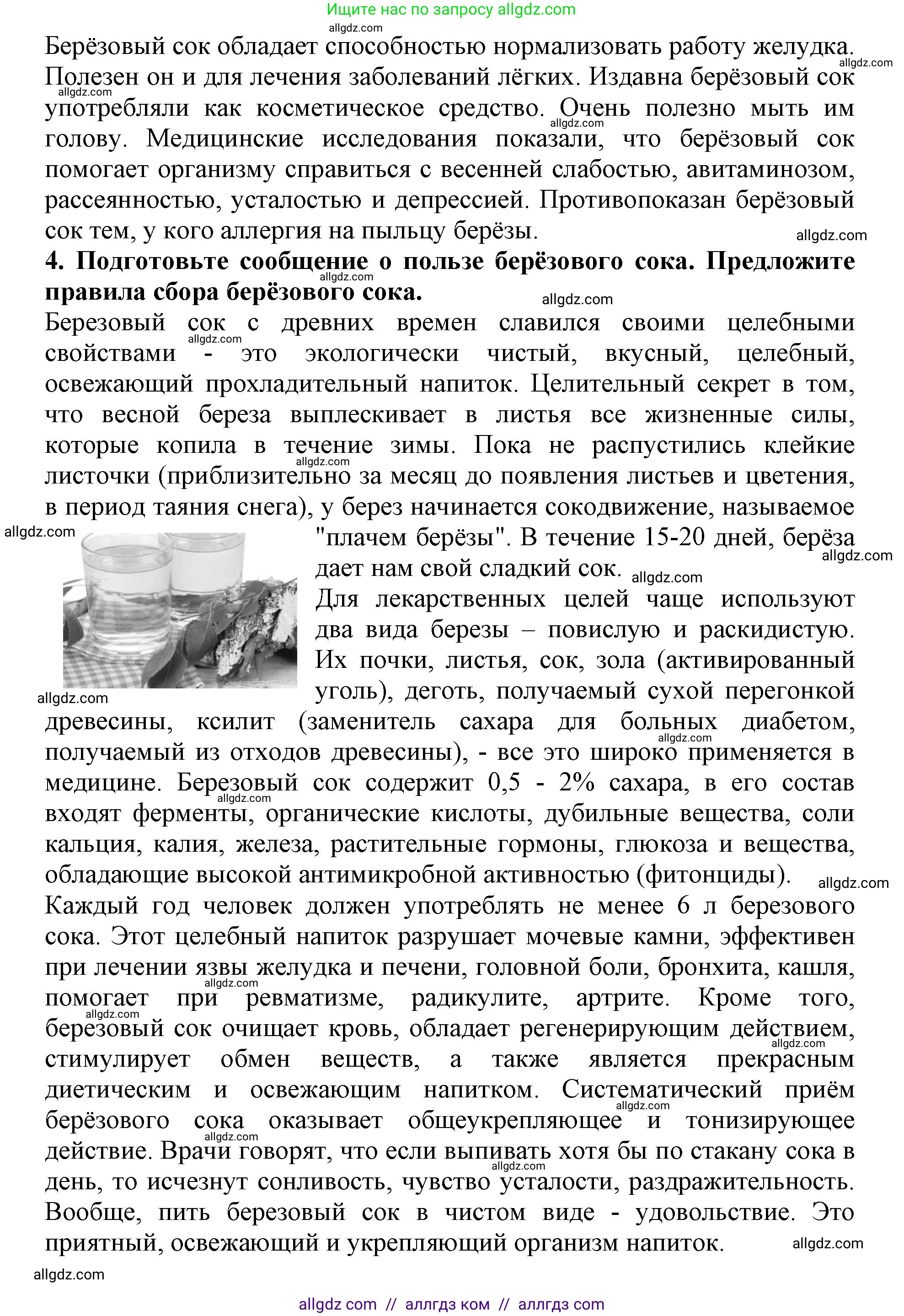 Биология, 6 класс Учебник, авторы: Пасечник Владимир Васильевич, Суматохин Сергей Витальевич, Гапонюк Зоя Георгиевна, Швецов Глеб Геннадьевич, издательство Просвещение, Москва, 2023, белого цвета, страница 113, Решение 1 (продолжение 3)