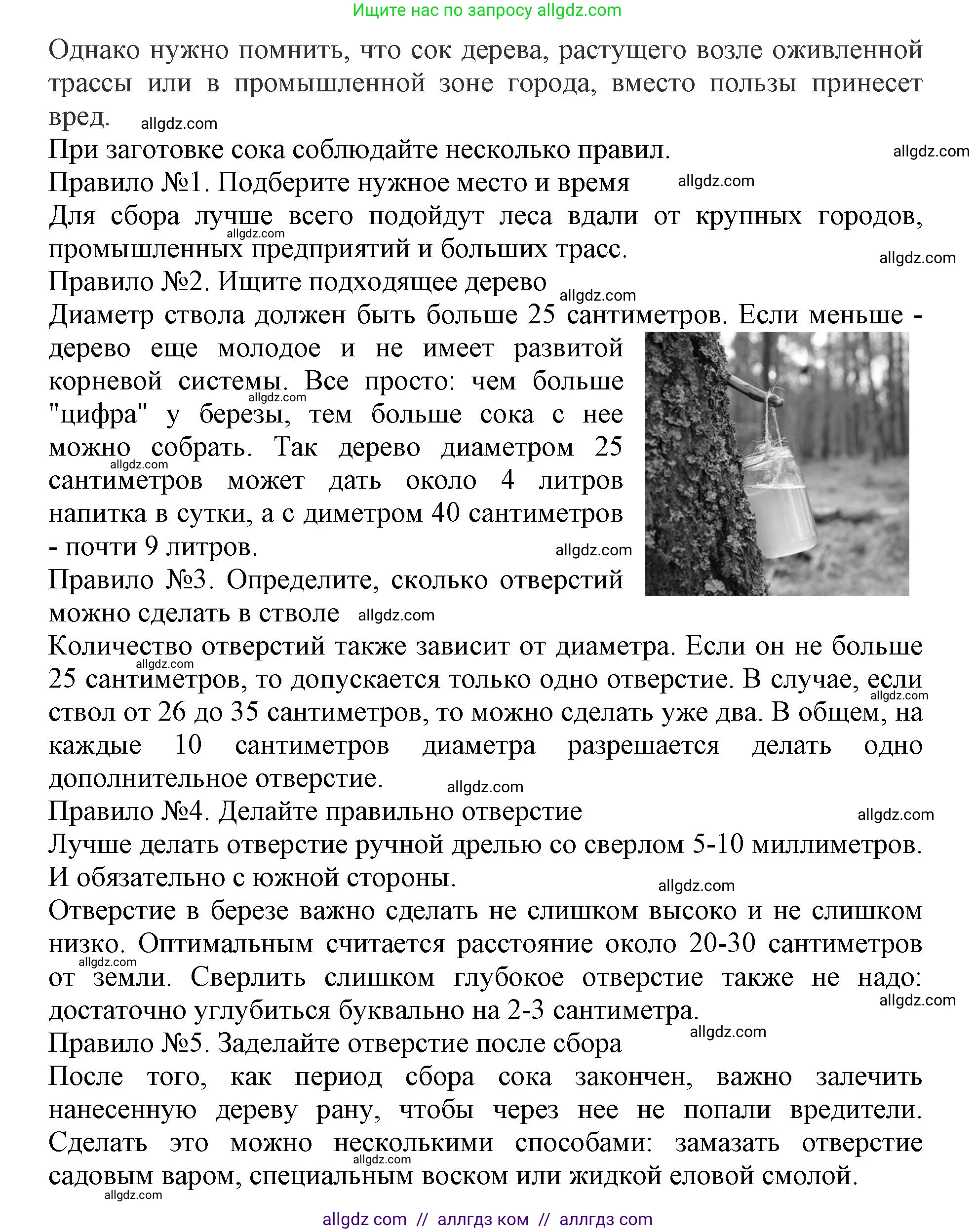 Биология, 6 класс Учебник, авторы: Пасечник Владимир Васильевич, Суматохин Сергей Витальевич, Гапонюк Зоя Георгиевна, Швецов Глеб Геннадьевич, издательство Просвещение, Москва, 2023, белого цвета, страница 113, Решение 1 (продолжение 4)