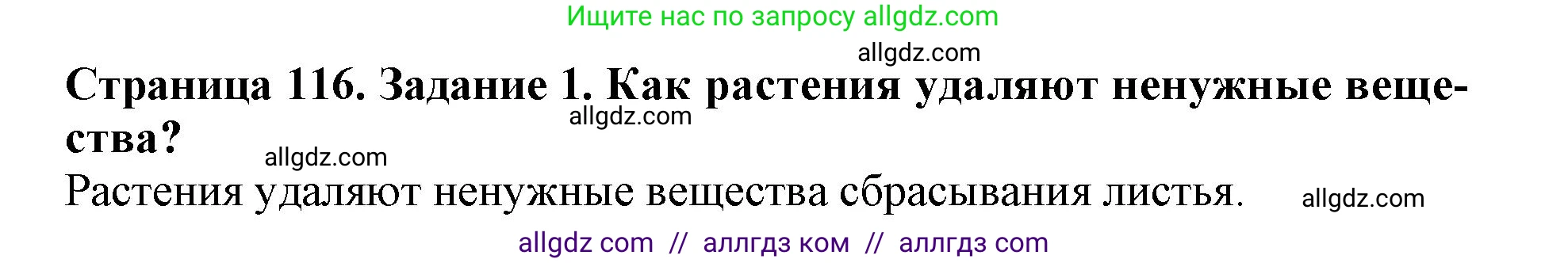 Биология, 6 класс Учебник, авторы: Пасечник Владимир Васильевич, Суматохин Сергей Витальевич, Гапонюк Зоя Георгиевна, Швецов Глеб Геннадьевич, издательство Просвещение, Москва, 2023, белого цвета, страница 116, номер 1, Решение 1
