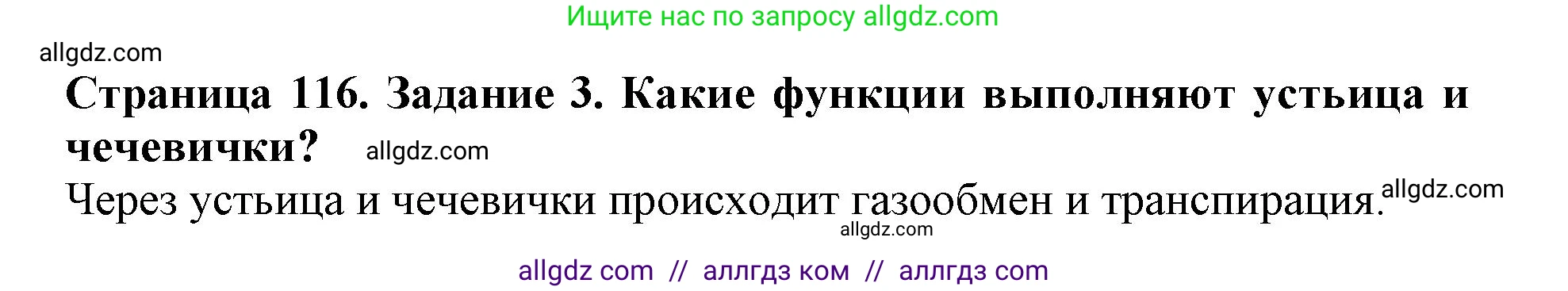 Биология, 6 класс Учебник, авторы: Пасечник Владимир Васильевич, Суматохин Сергей Витальевич, Гапонюк Зоя Георгиевна, Швецов Глеб Геннадьевич, издательство Просвещение, Москва, 2023, белого цвета, страница 116, номер 3, Решение 1