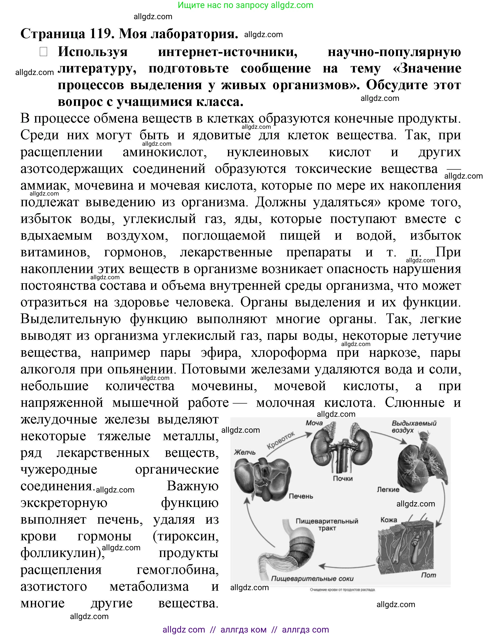 Биология, 6 класс Учебник, авторы: Пасечник Владимир Васильевич, Суматохин Сергей Витальевич, Гапонюк Зоя Георгиевна, Швецов Глеб Геннадьевич, издательство Просвещение, Москва, 2023, белого цвета, страница 119, Решение 1