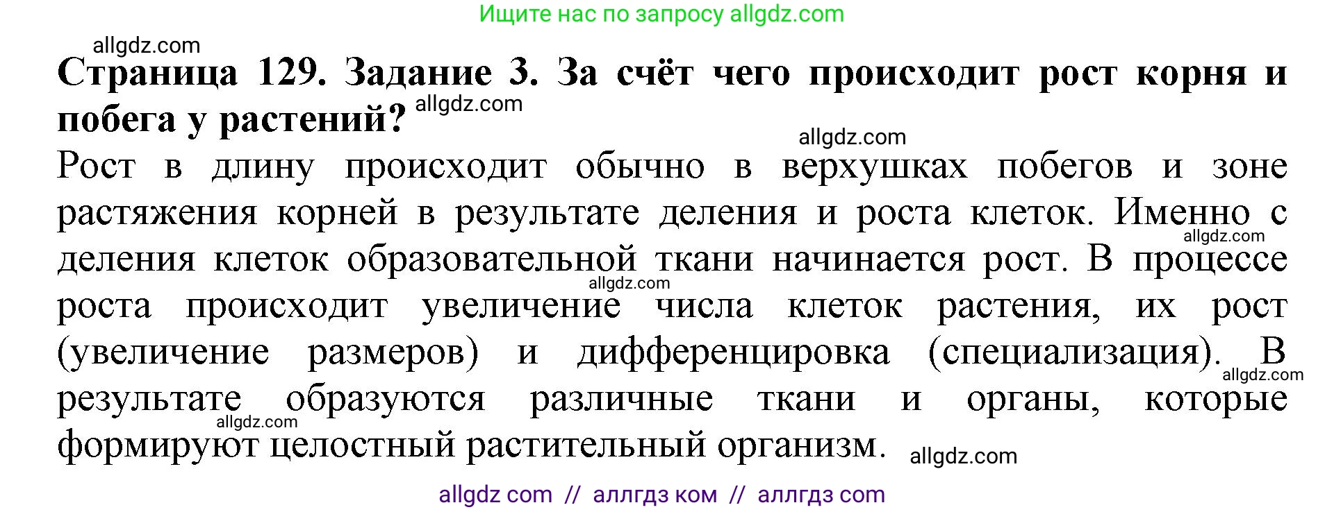 Биология, 6 класс Учебник, авторы: Пасечник Владимир Васильевич, Суматохин Сергей Витальевич, Гапонюк Зоя Георгиевна, Швецов Глеб Геннадьевич, издательство Просвещение, Москва, 2023, белого цвета, страница 129, номер 3, Решение 1