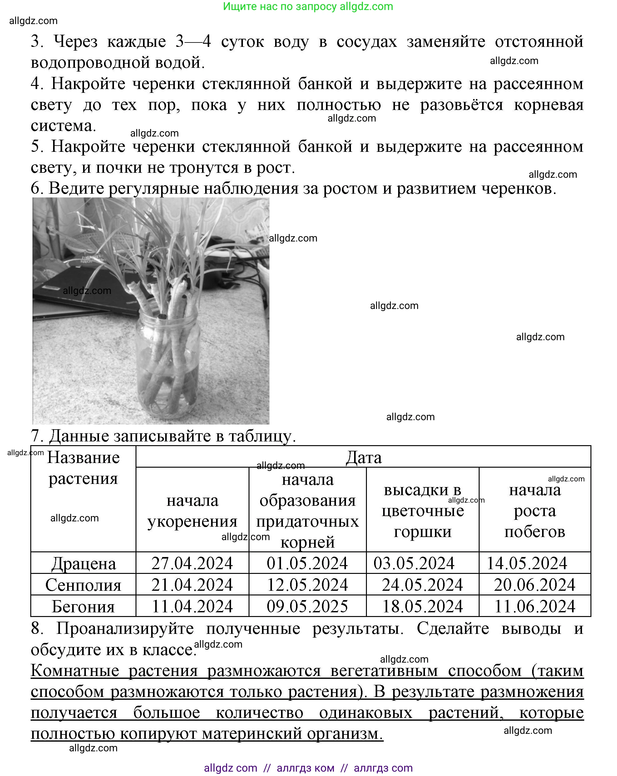 Биология, 6 класс Учебник, авторы: Пасечник Владимир Васильевич, Суматохин Сергей Витальевич, Гапонюк Зоя Георгиевна, Швецов Глеб Геннадьевич, издательство Просвещение, Москва, 2023, белого цвета, страница 142, Решение 1 (продолжение 2)