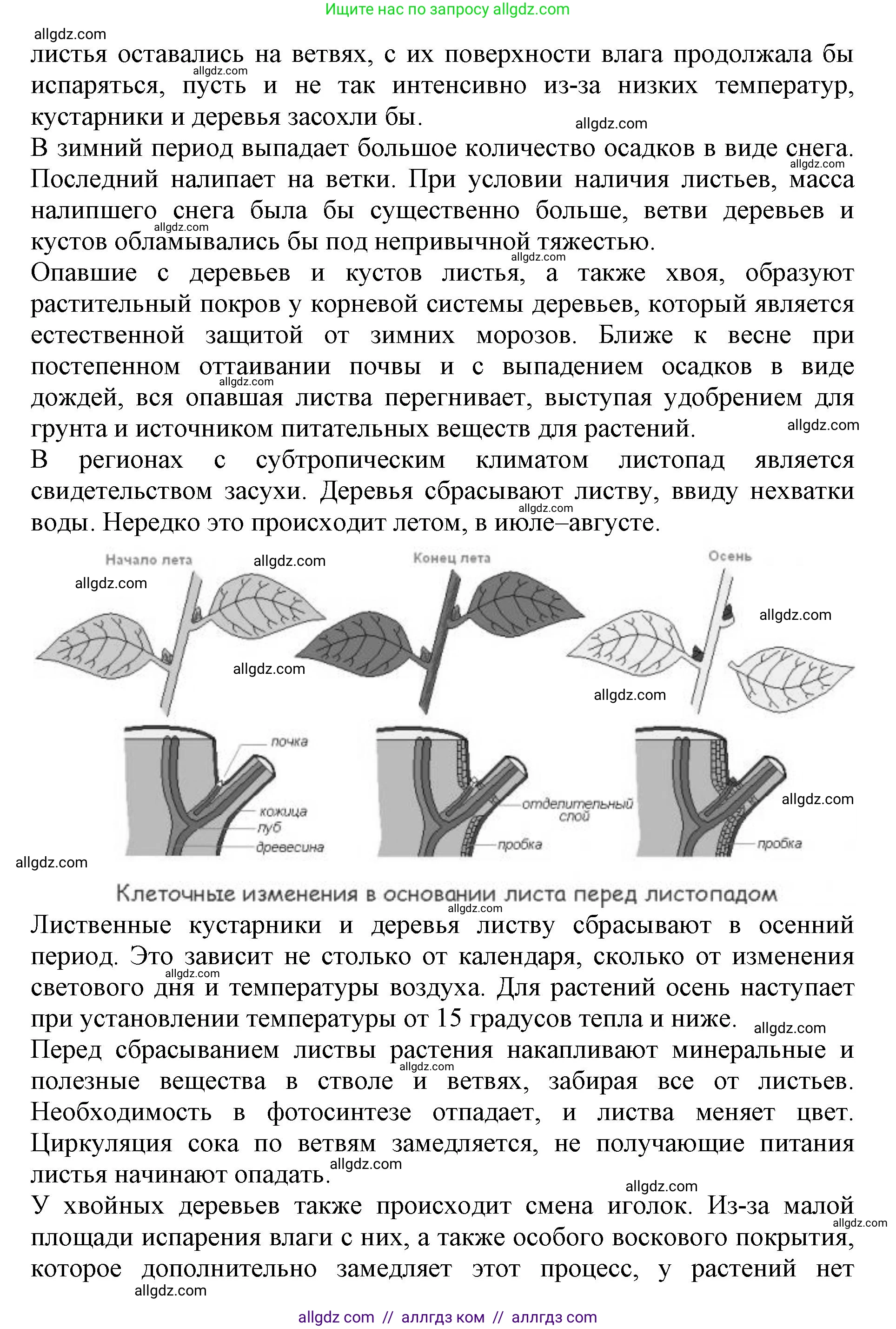 Биология, 6 класс Учебник, авторы: Пасечник Владимир Васильевич, Суматохин Сергей Витальевич, Гапонюк Зоя Георгиевна, Швецов Глеб Геннадьевич, издательство Просвещение, Москва, 2023, белого цвета, страница 144, номер 2, Решение 1 (продолжение 2)