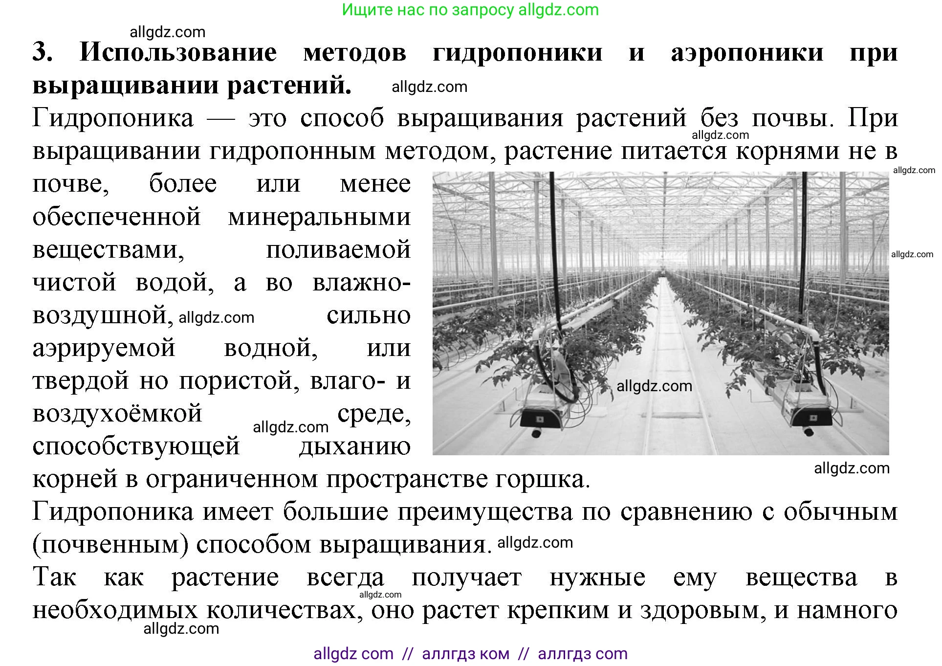 Биология, 6 класс Учебник, авторы: Пасечник Владимир Васильевич, Суматохин Сергей Витальевич, Гапонюк Зоя Георгиевна, Швецов Глеб Геннадьевич, издательство Просвещение, Москва, 2023, белого цвета, страница 144, номер 3, Решение 1