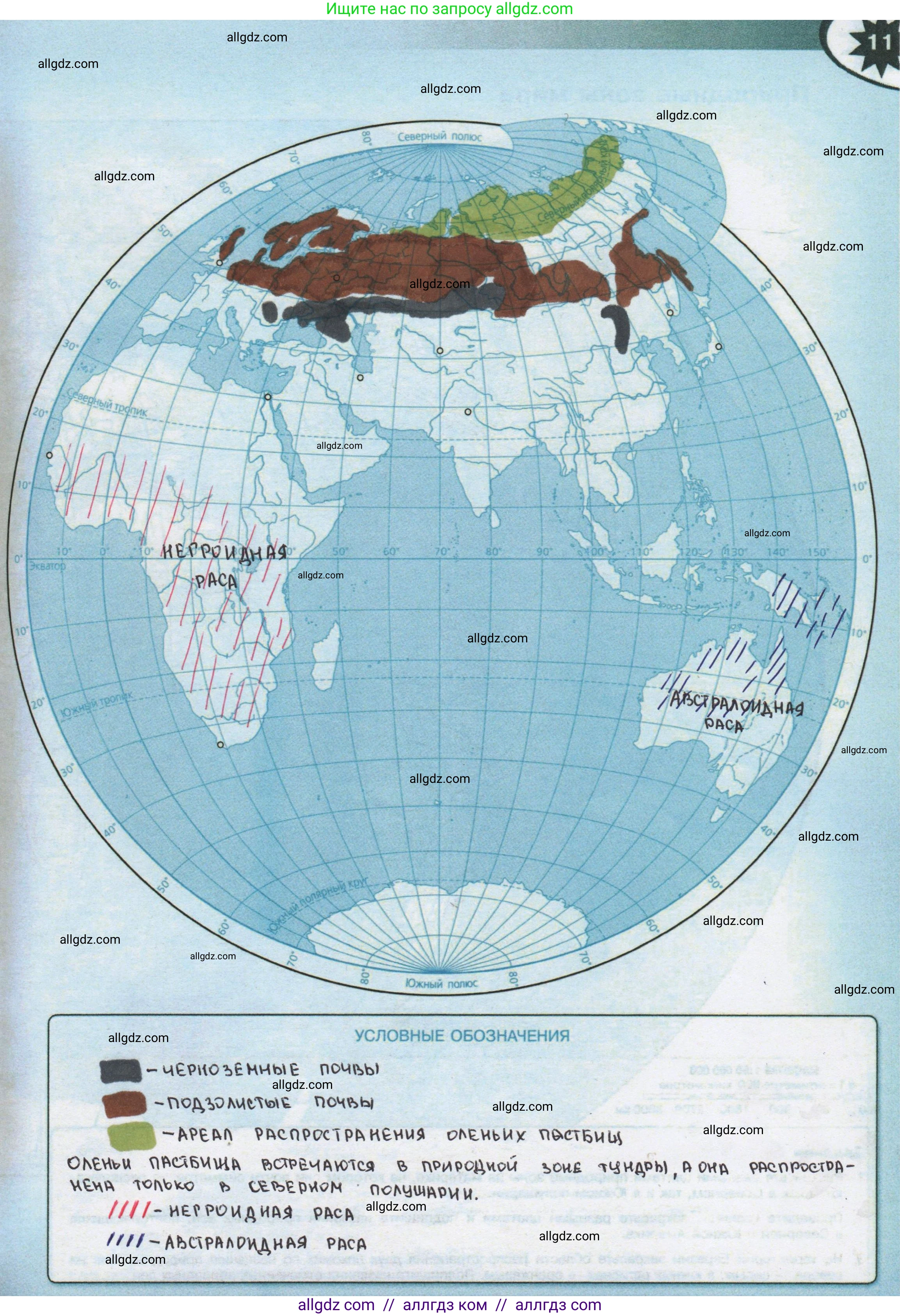 География, 6 класс Контурные карты, автор: Матвеев Алексей Владимирович, издательство Просвещение, Москва, 2023, жёлтого цвета, страница 11, Решение
